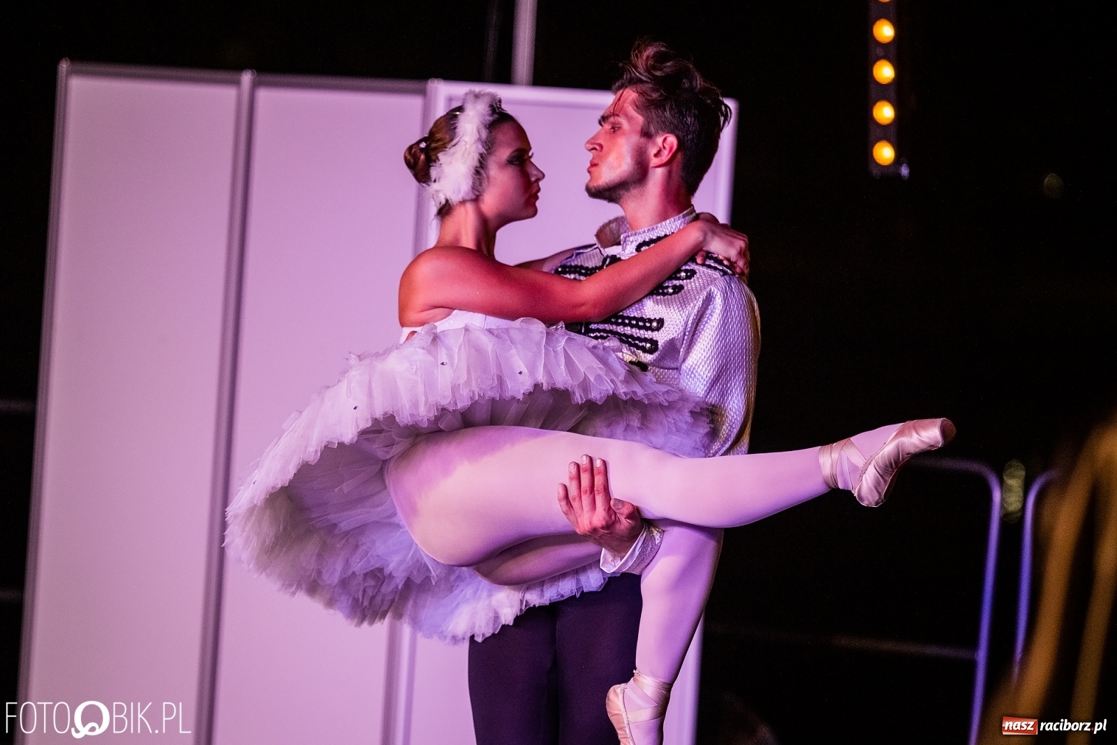 Zdjęcie w galerii na portalu naszraciborz.pl: Zaklęty łabędź zdobył Racibórz [FOTO]  wiadomości z regionu