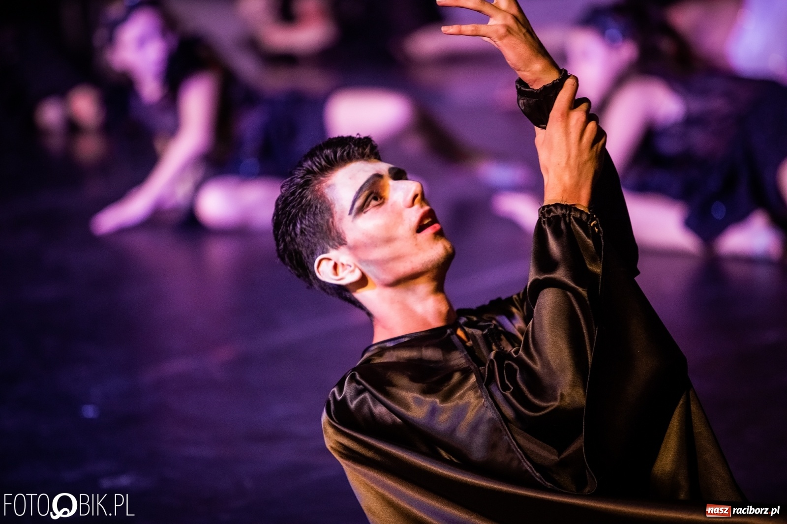 Zdjęcie w galerii na portalu naszraciborz.pl: Zaklęty łabędź zdobył Racibórz [FOTO]  wiadomości z regionu