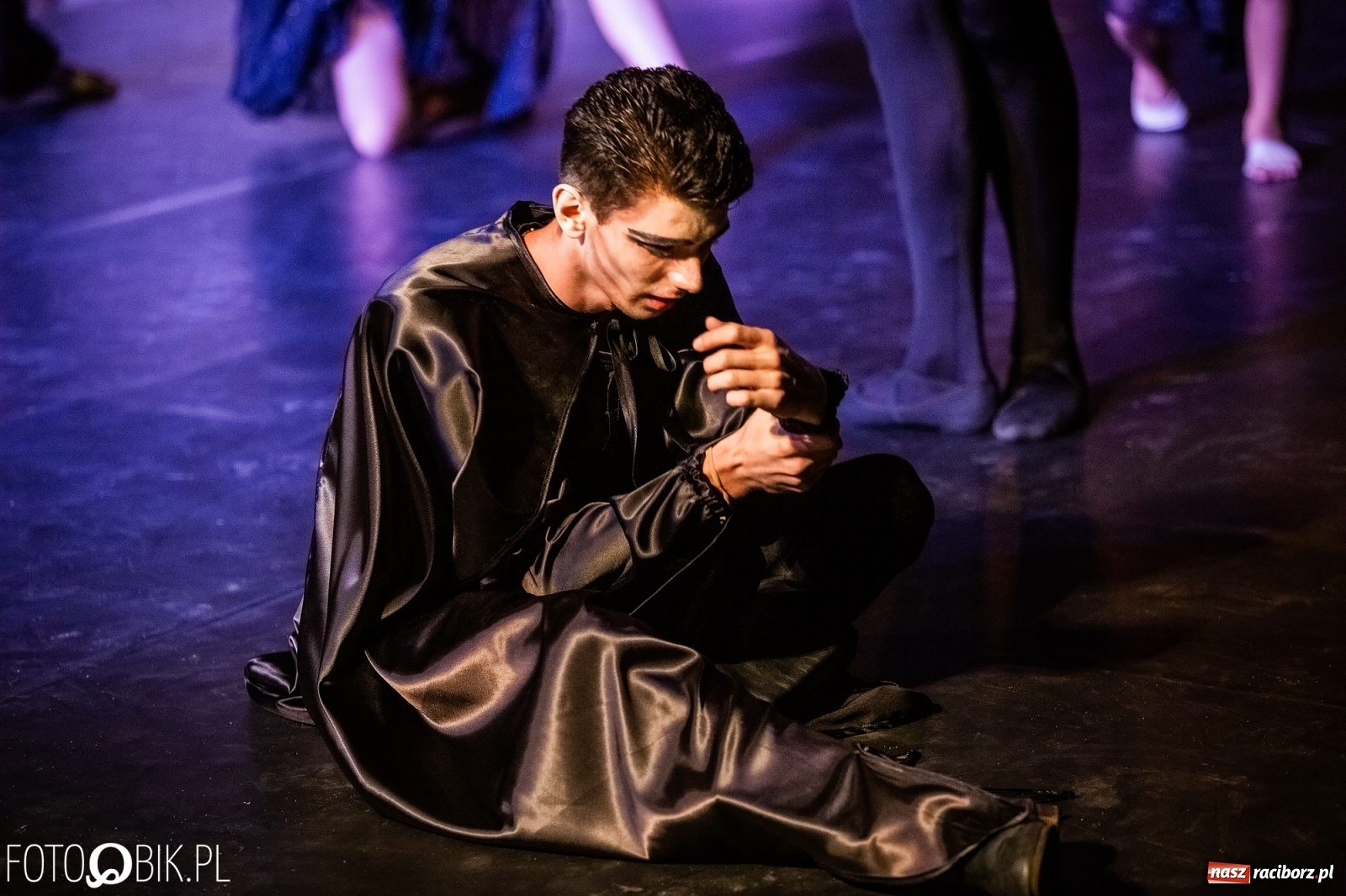 Zdjęcie w galerii na portalu naszraciborz.pl: Zaklęty łabędź zdobył Racibórz [FOTO]  wiadomości z regionu