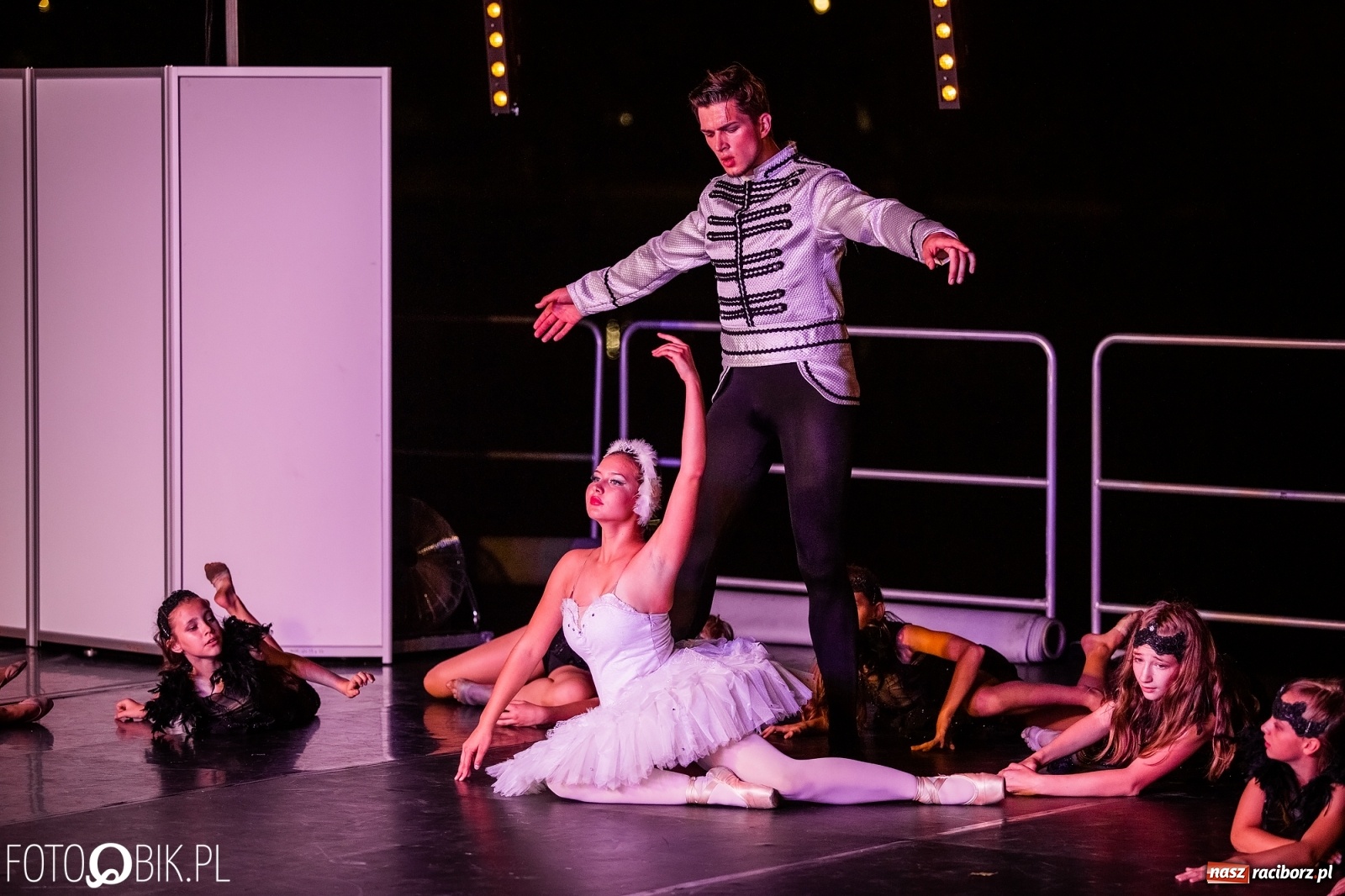 Zdjęcie w galerii na portalu naszraciborz.pl: Zaklęty łabędź zdobył Racibórz [FOTO]  wiadomości z regionu