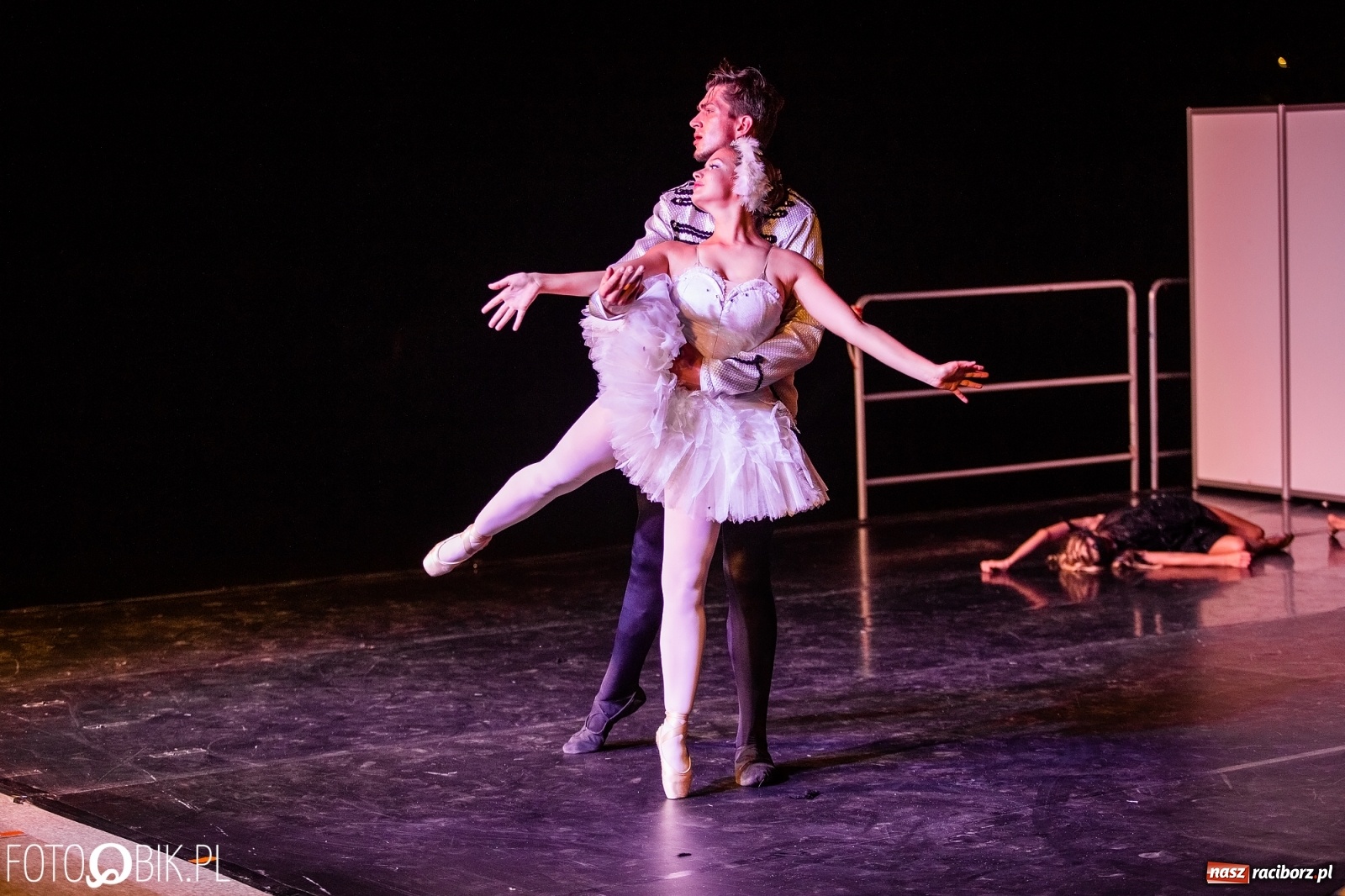 Zdjęcie w galerii na portalu naszraciborz.pl: Zaklęty łabędź zdobył Racibórz [FOTO]  wiadomości z regionu