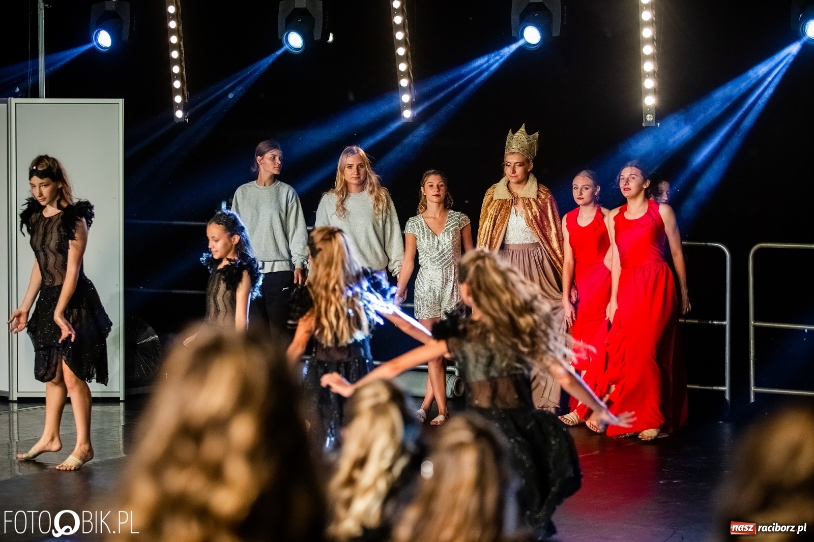 Zdjęcie w galerii na portalu naszraciborz.pl: Zaklęty łabędź zdobył Racibórz [FOTO]  wiadomości z regionu