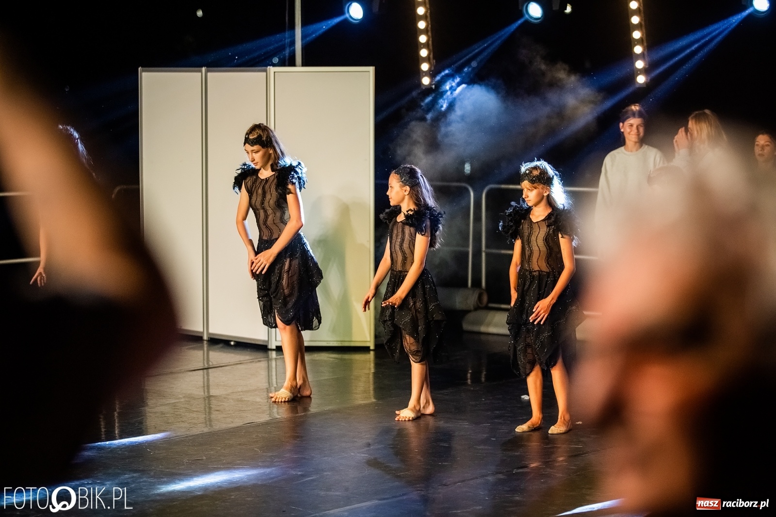 Zdjęcie w galerii na portalu naszraciborz.pl: Zaklęty łabędź zdobył Racibórz [FOTO]  wiadomości z regionu