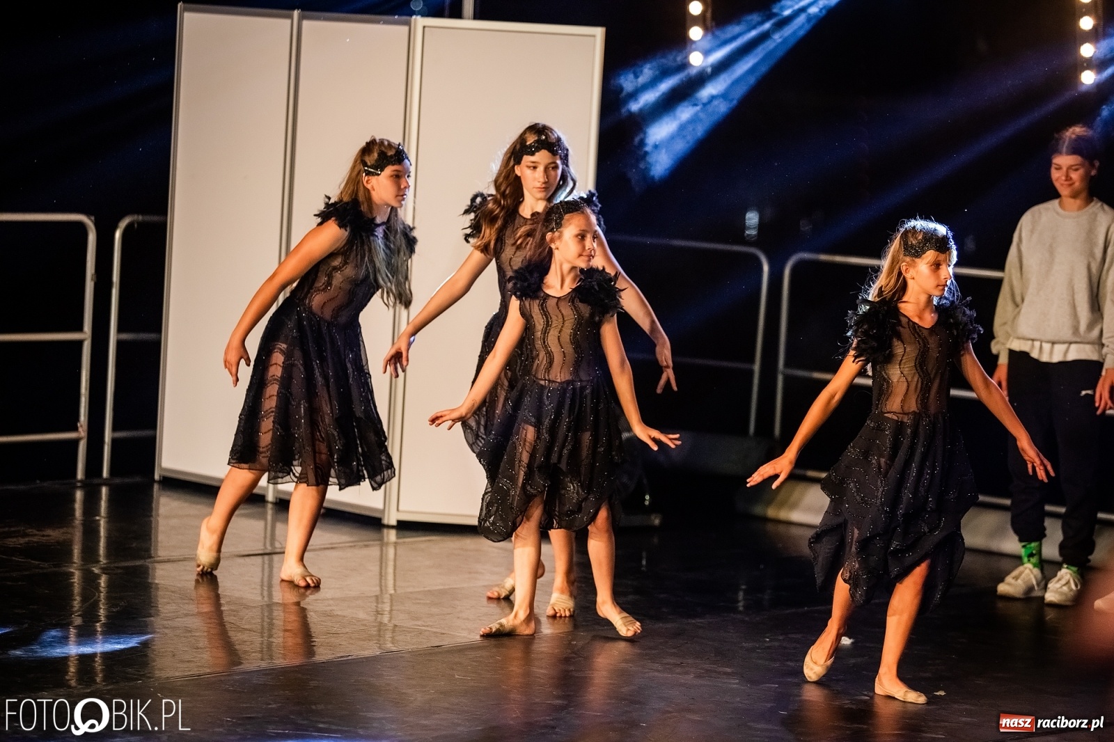 Zdjęcie w galerii na portalu naszraciborz.pl: Zaklęty łabędź zdobył Racibórz [FOTO]  wiadomości z regionu