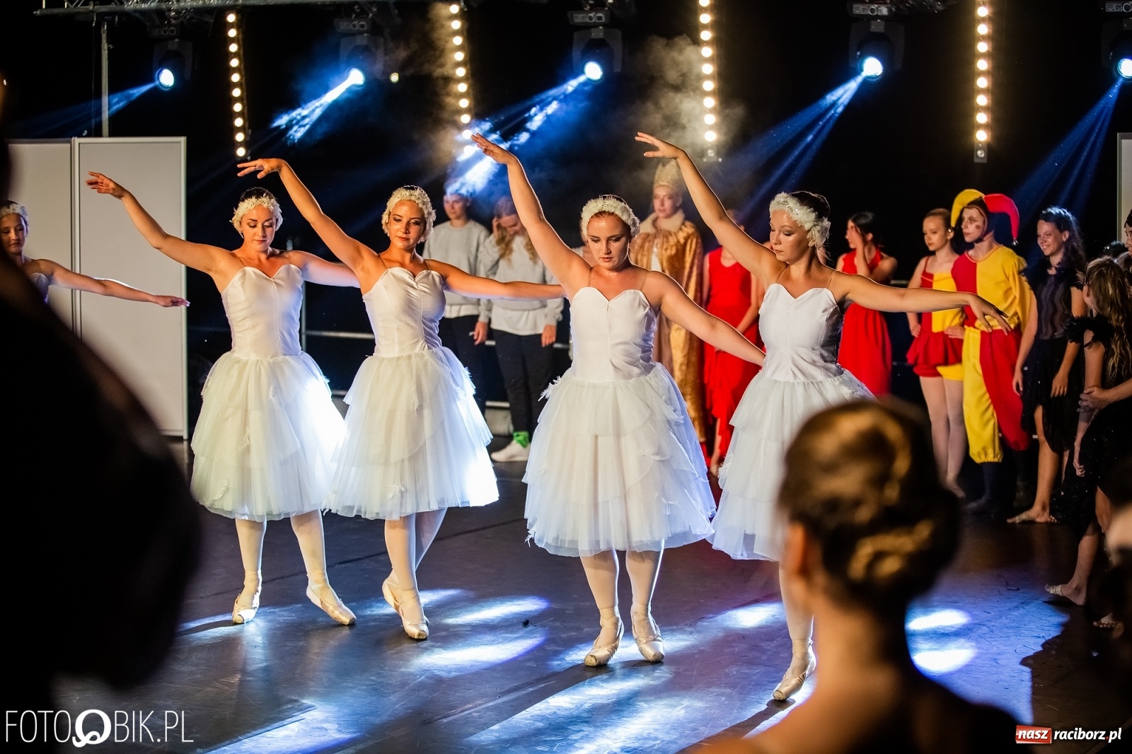 Zdjęcie w galerii na portalu naszraciborz.pl: Zaklęty łabędź zdobył Racibórz [FOTO]  wiadomości z regionu