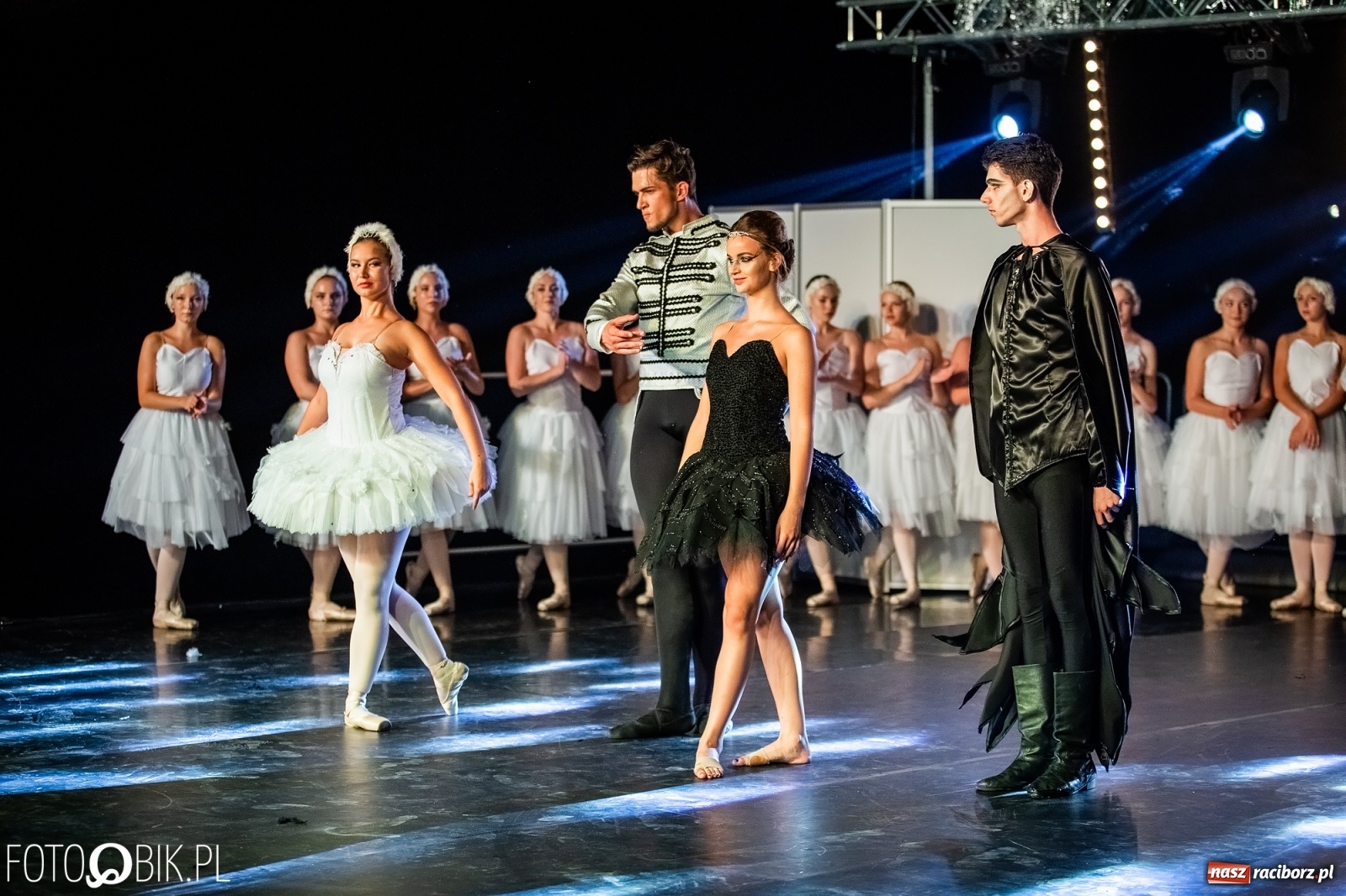 Zdjęcie w galerii na portalu naszraciborz.pl: Zaklęty łabędź zdobył Racibórz [FOTO]  wiadomości z regionu