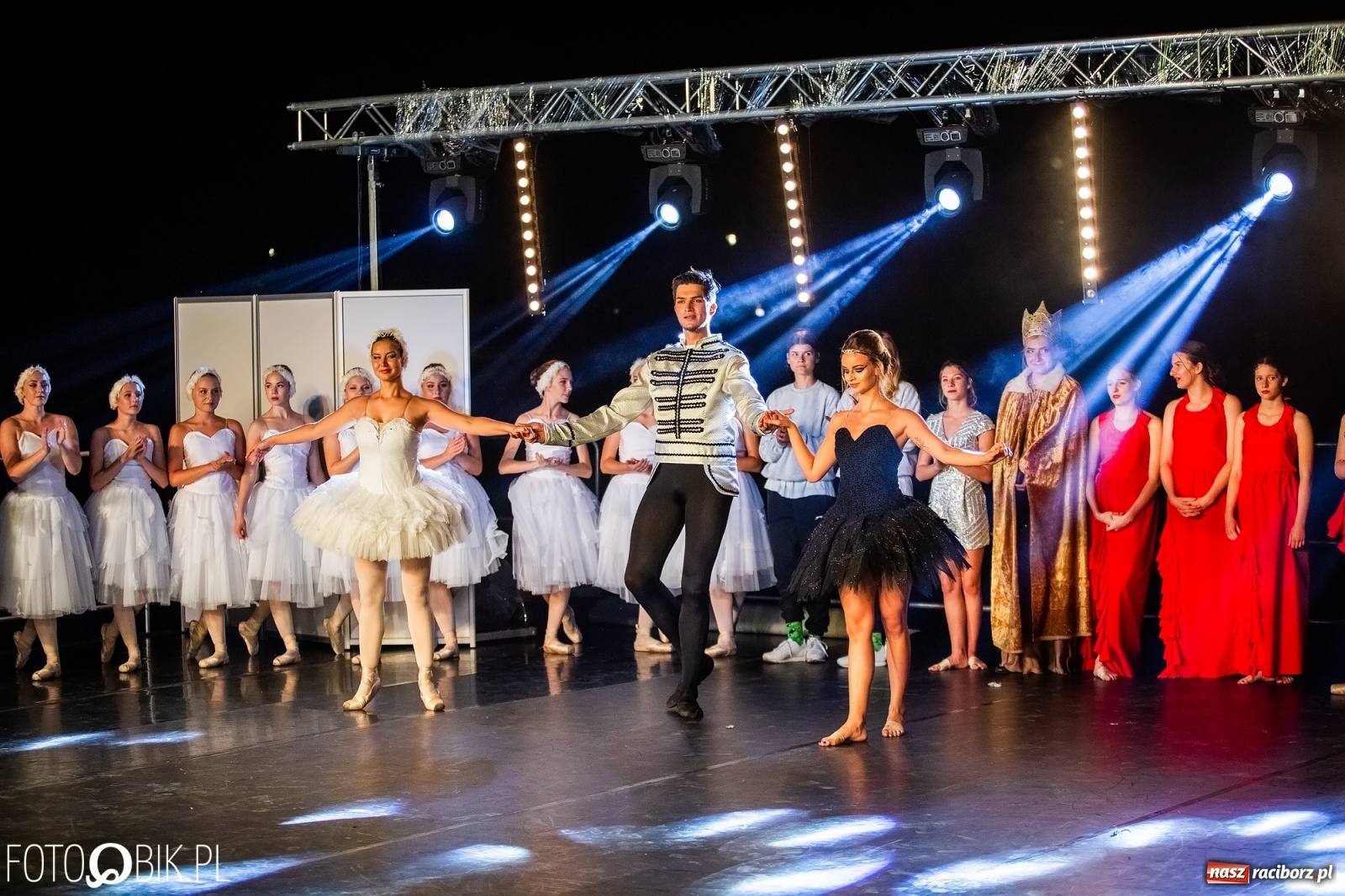 Zdjęcie w galerii na portalu naszraciborz.pl: Zaklęty łabędź zdobył Racibórz [FOTO]  wiadomości z regionu