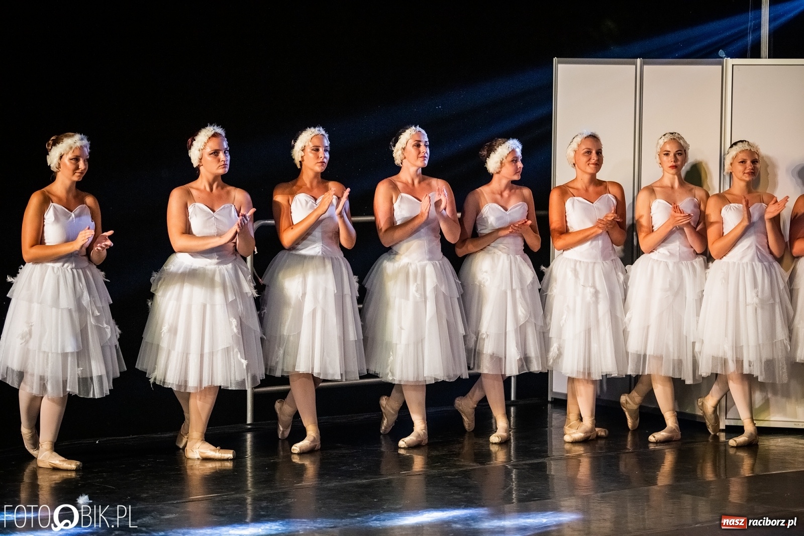 Zdjęcie w galerii na portalu naszraciborz.pl: Zaklęty łabędź zdobył Racibórz [FOTO]  wiadomości z regionu