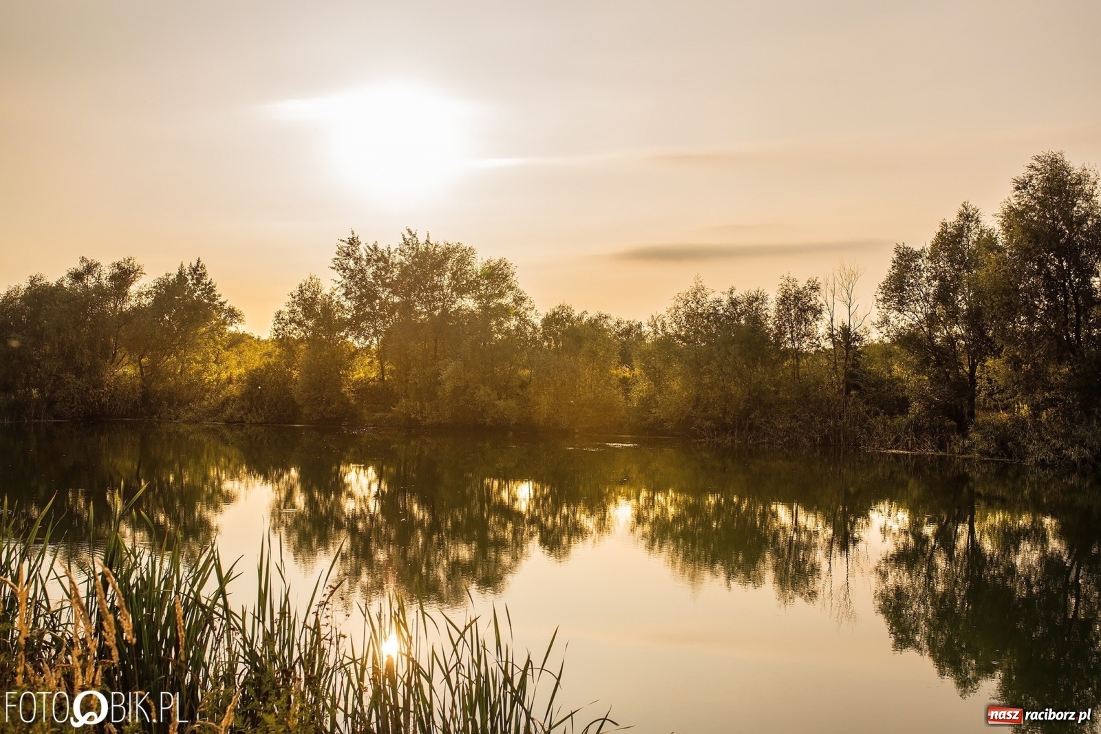 Zdjęcie w galerii na portalu naszraciborz.pl: Sen o Acapulco. Śmiałe wizje utopione w śmieciach i betonie [FOTO]  wiadomości z regionu