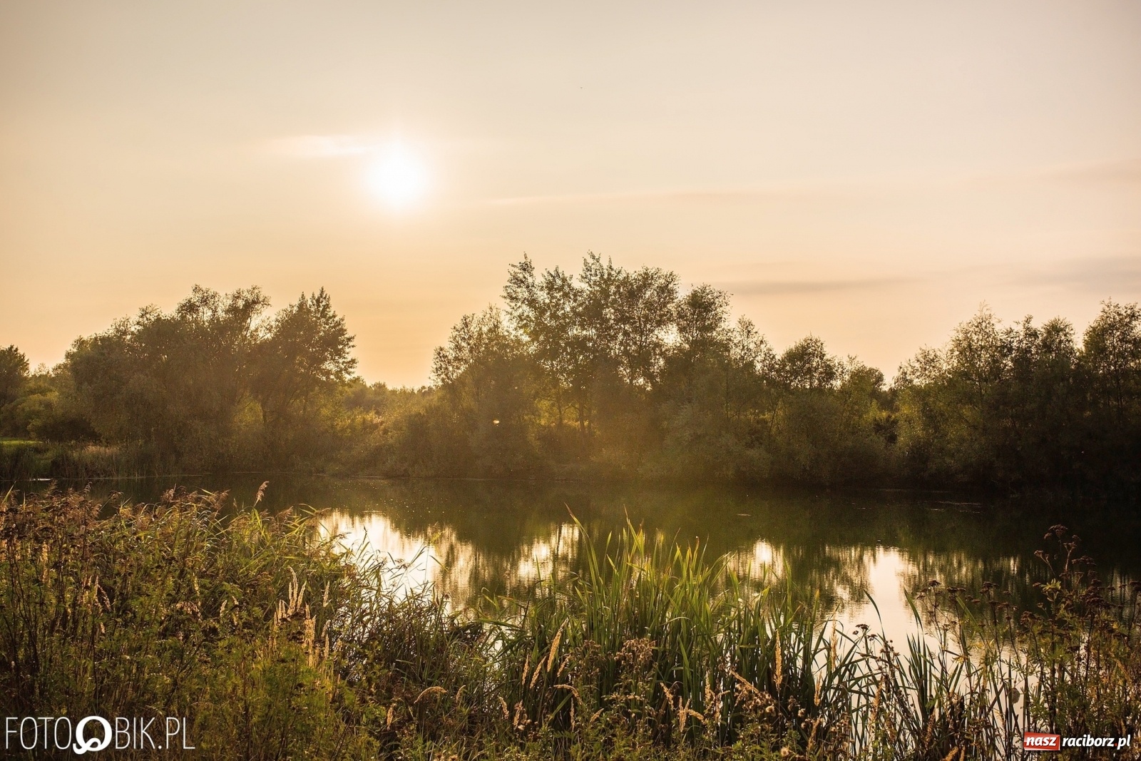 Zdjęcie w galerii na portalu naszraciborz.pl: Sen o Acapulco. Śmiałe wizje utopione w śmieciach i betonie [FOTO]  wiadomości z regionu