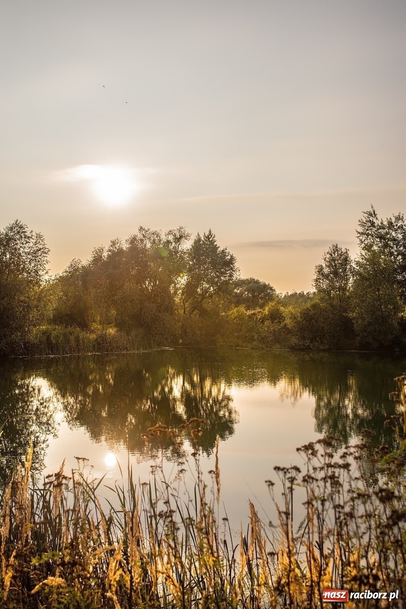 Zdjęcie w galerii na portalu naszraciborz.pl: Sen o Acapulco. Śmiałe wizje utopione w śmieciach i betonie [FOTO]  wiadomości z regionu