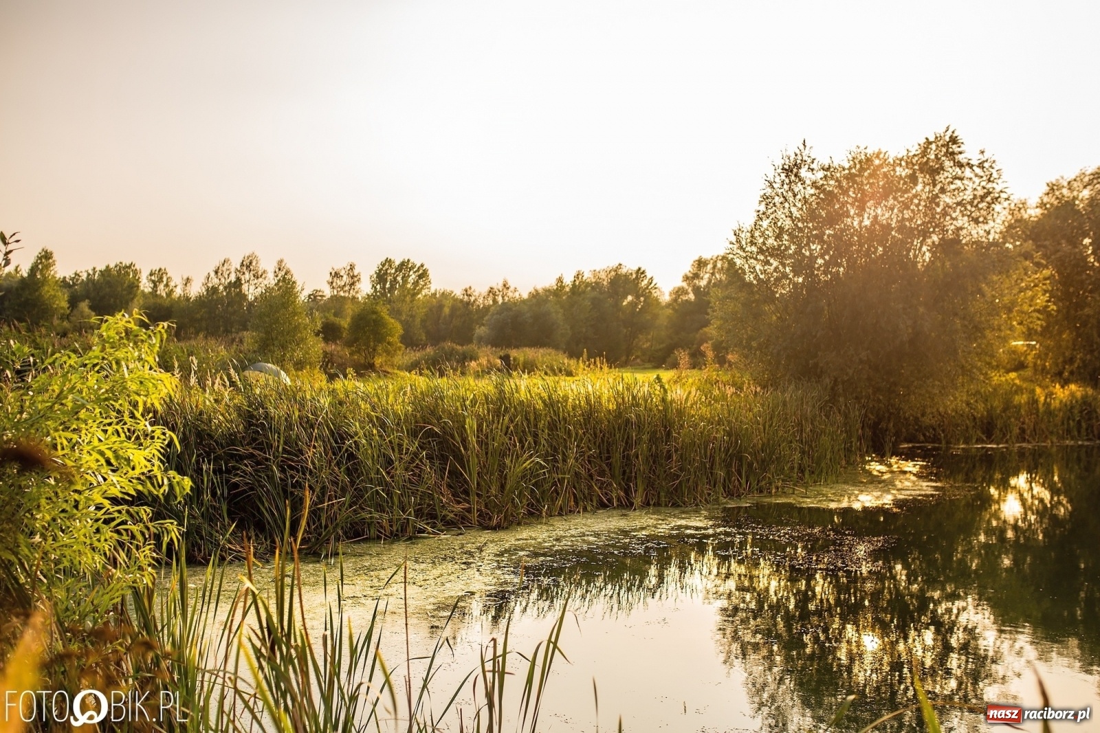 Zdjęcie w galerii na portalu naszraciborz.pl: Sen o Acapulco. Śmiałe wizje utopione w śmieciach i betonie [FOTO]  wiadomości z regionu