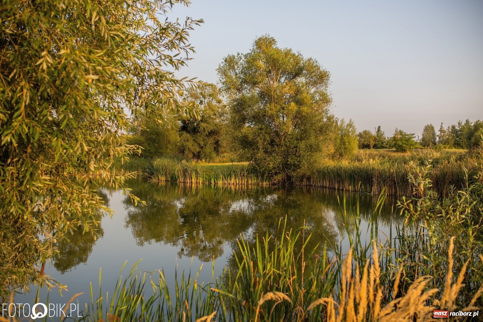 Zdjęcie w galerii na portalu naszraciborz.pl: Sen o Acapulco. Śmiałe wizje utopione w śmieciach i betonie [FOTO]  wiadomości z regionu