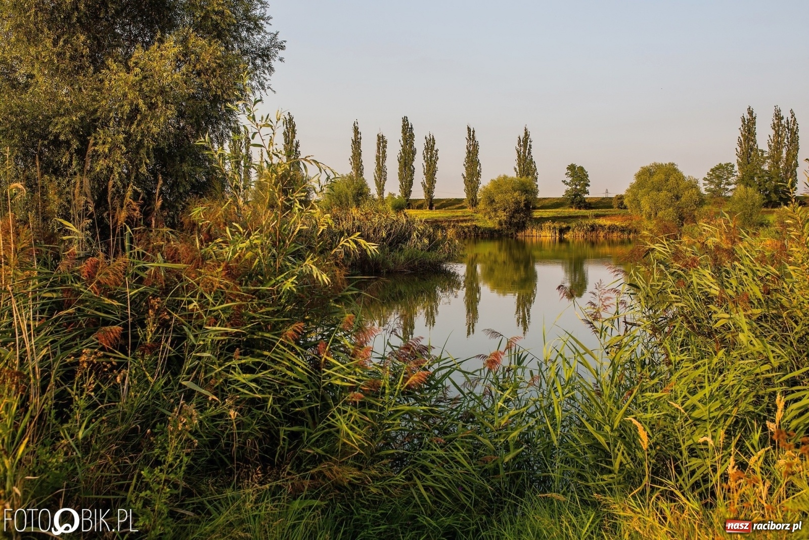 Zdjęcie w galerii na portalu naszraciborz.pl: Sen o Acapulco. Śmiałe wizje utopione w śmieciach i betonie [FOTO]  wiadomości z regionu