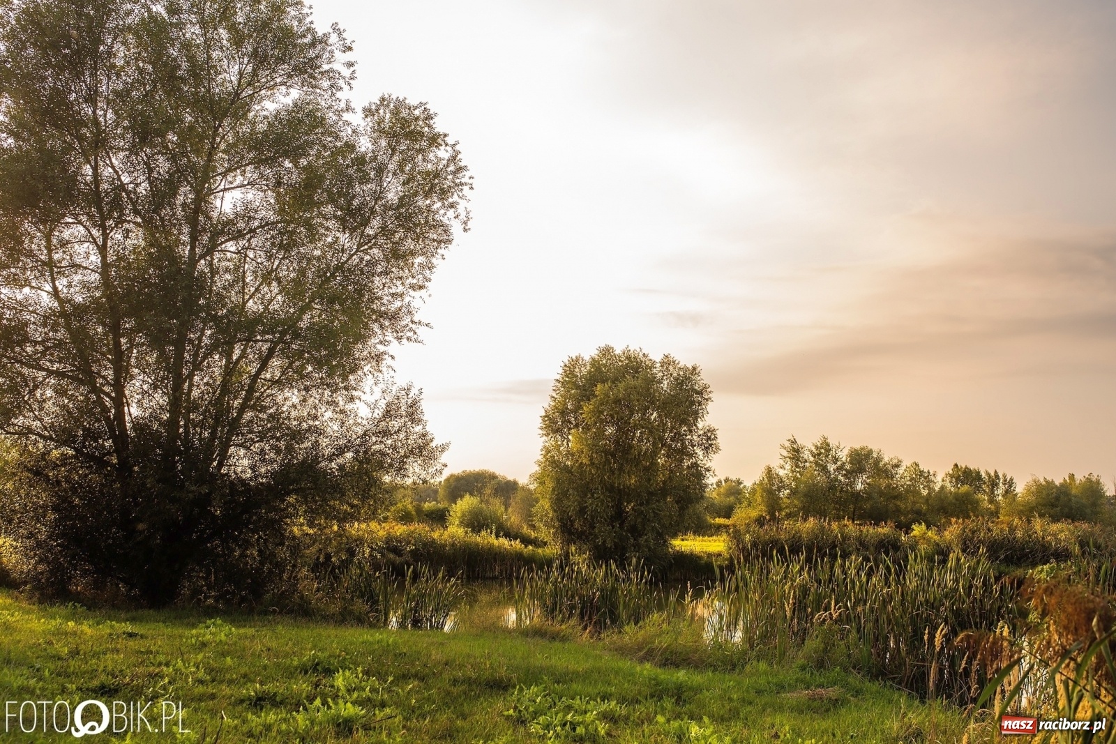 Zdjęcie w galerii na portalu naszraciborz.pl: Sen o Acapulco. Śmiałe wizje utopione w śmieciach i betonie [FOTO]  wiadomości z regionu