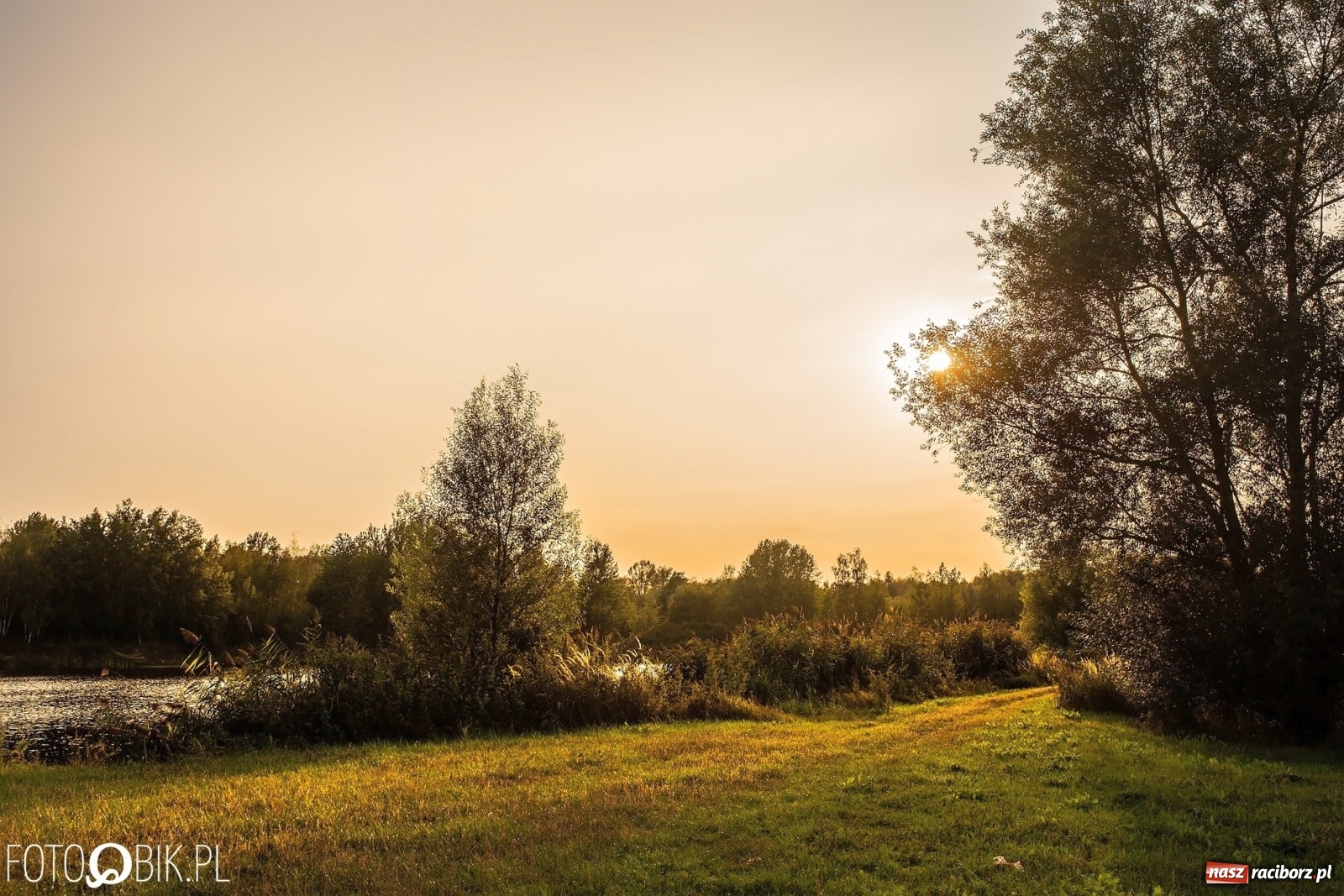 Zdjęcie w galerii na portalu naszraciborz.pl: Sen o Acapulco. Śmiałe wizje utopione w śmieciach i betonie [FOTO]  wiadomości z regionu