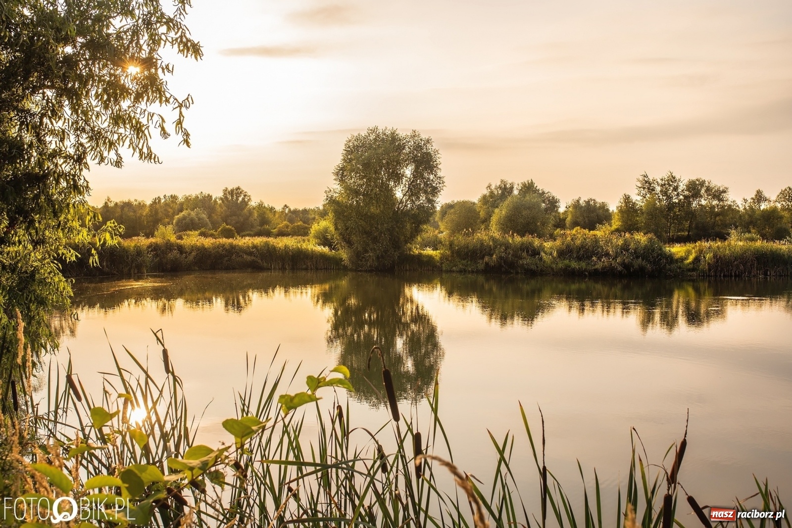 Zdjęcie w galerii na portalu naszraciborz.pl: Sen o Acapulco. Śmiałe wizje utopione w śmieciach i betonie [FOTO]  wiadomości z regionu