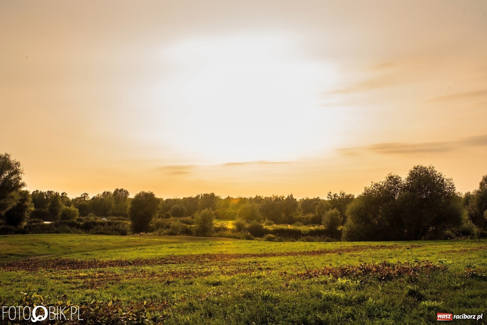Zdjęcie w galerii na portalu naszraciborz.pl: Sen o Acapulco. Śmiałe wizje utopione w śmieciach i betonie [FOTO]  wiadomości z regionu