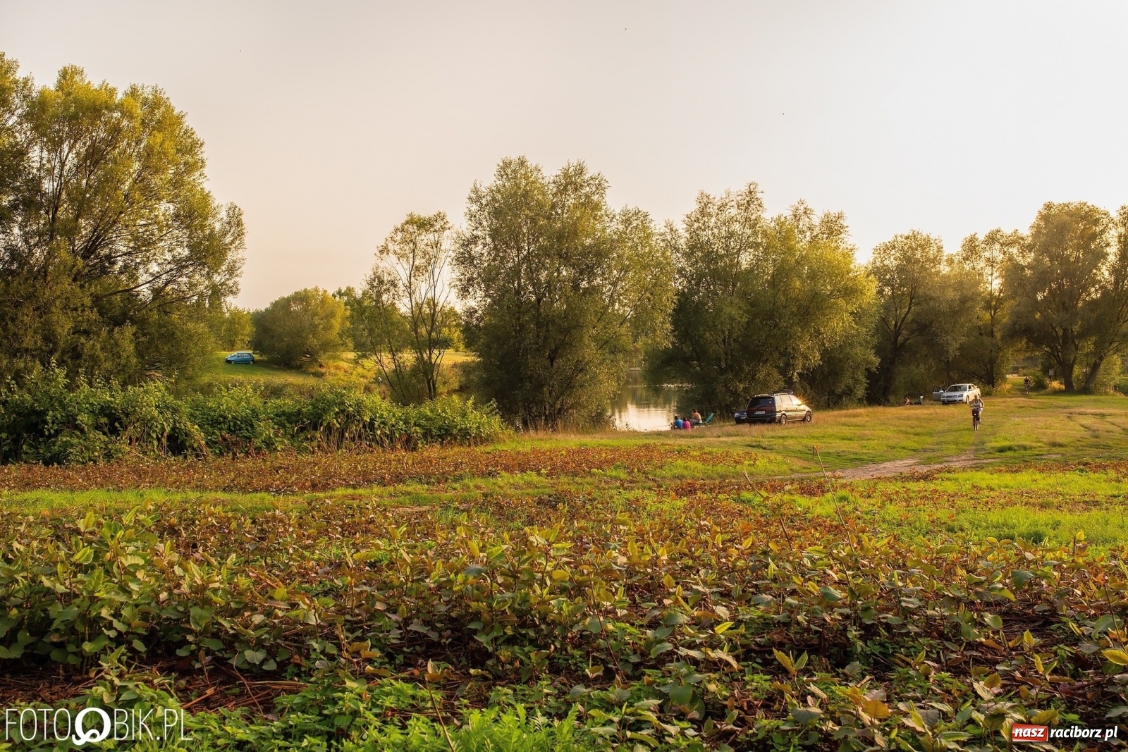 Zdjęcie w galerii na portalu naszraciborz.pl: Sen o Acapulco. Śmiałe wizje utopione w śmieciach i betonie [FOTO]  wiadomości z regionu