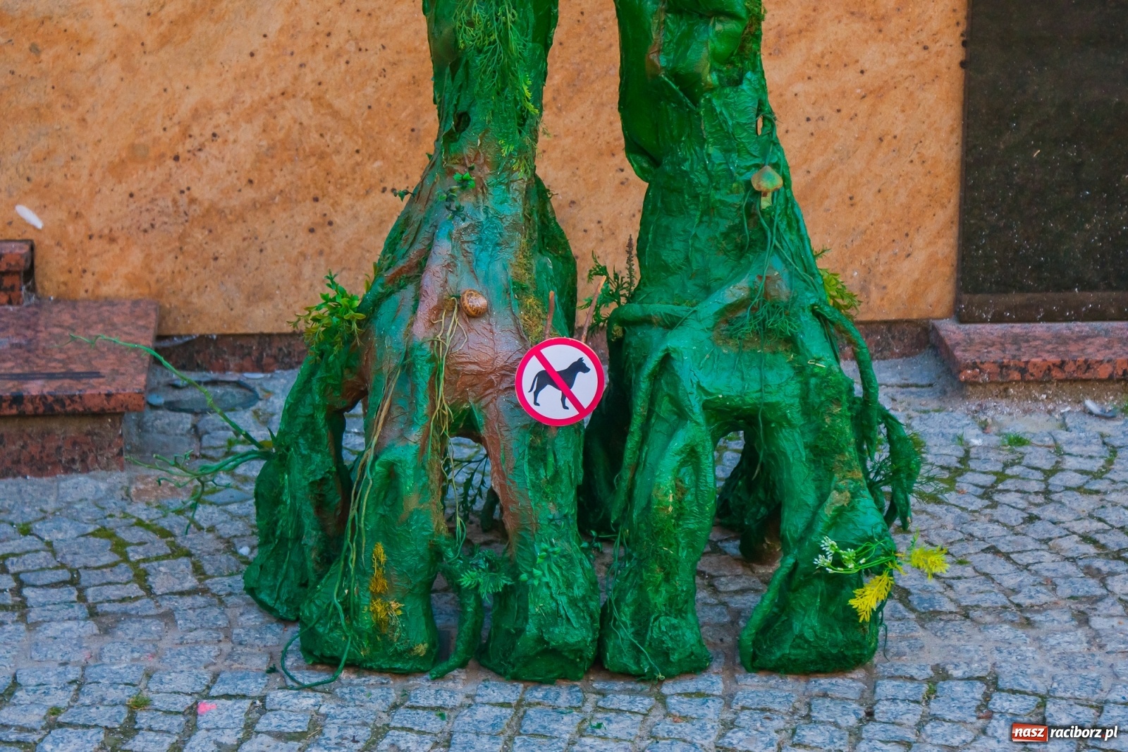 Zdjęcie w galerii na portalu naszraciborz.pl: FRU 2019 ruszyło. Długa tętni życiem [FOTO i WIDEO]  wiadomości z regionu