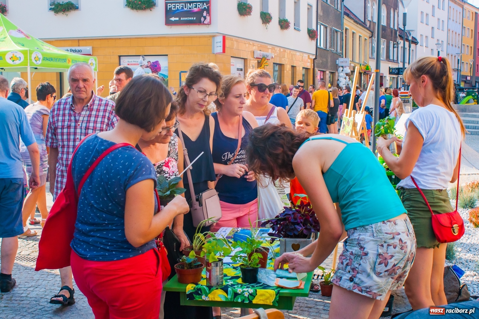 Zdjęcie w galerii na portalu naszraciborz.pl: FRU 2019 ruszyło. Długa tętni życiem [FOTO i WIDEO]  wiadomości z regionu