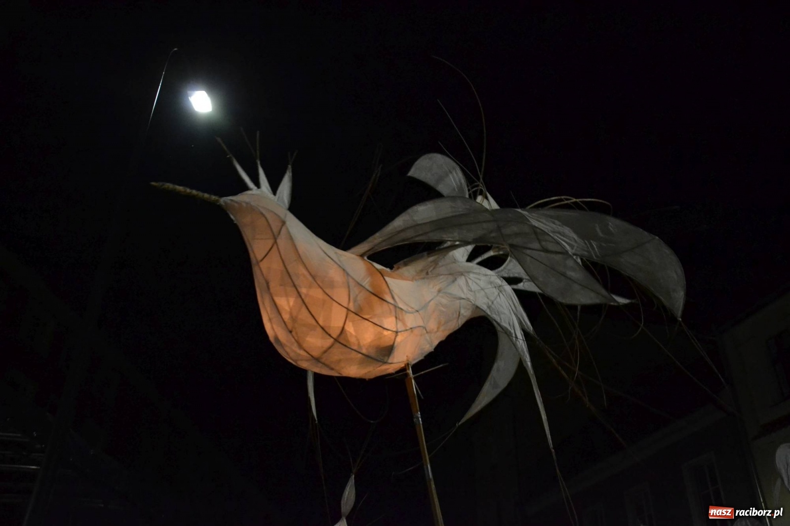 Zdjęcie w galerii na portalu naszraciborz.pl: The Light Parade na finał FRU 2019 [FOTO i WIDEO] wiadomości z regionu