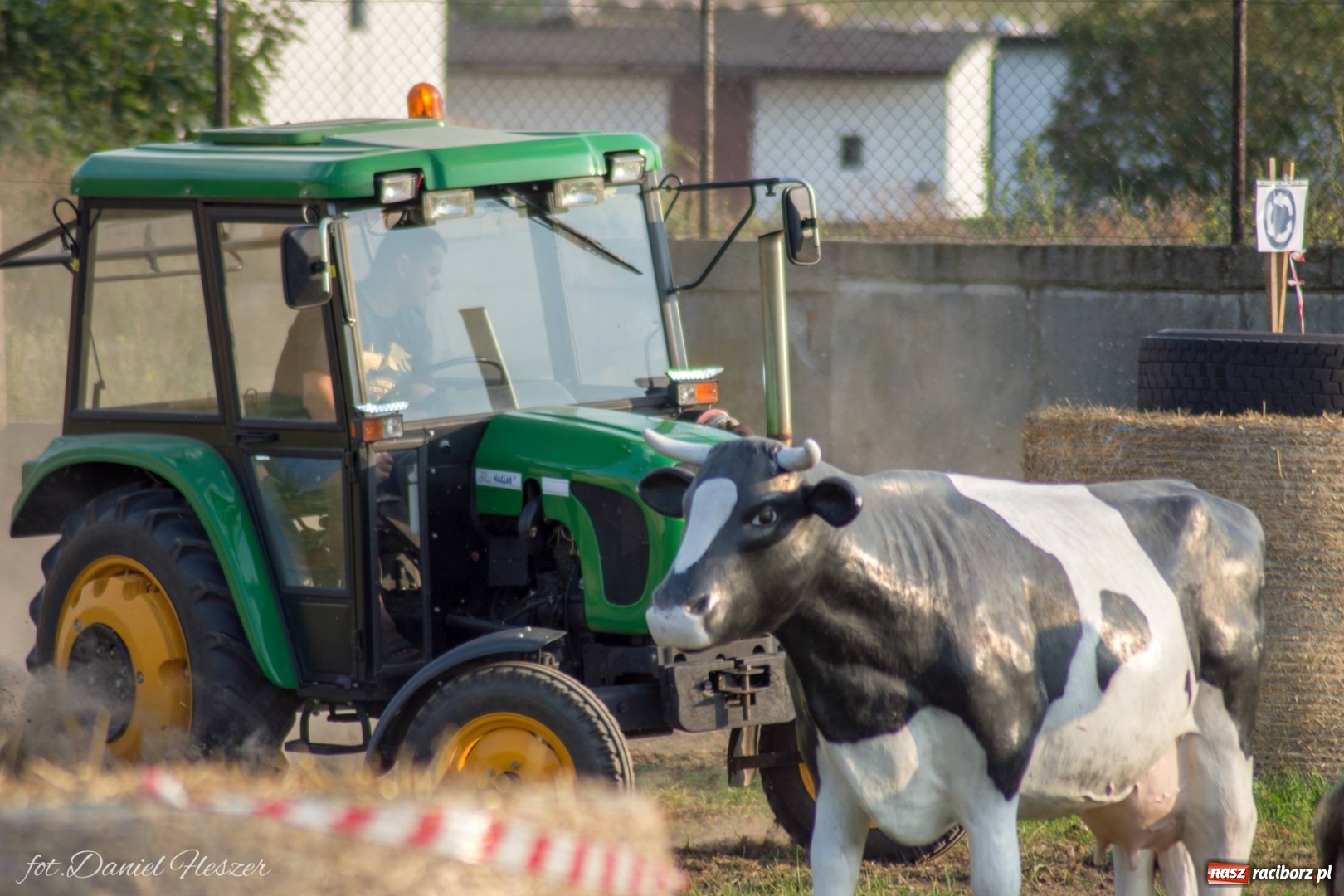 Zdjęcie w galerii na portalu naszraciborz.pl: Krowiarki 2019. Zmagania traktorów i dożynkowy korowód [FOTO z DRONA] wiadomości z regionu