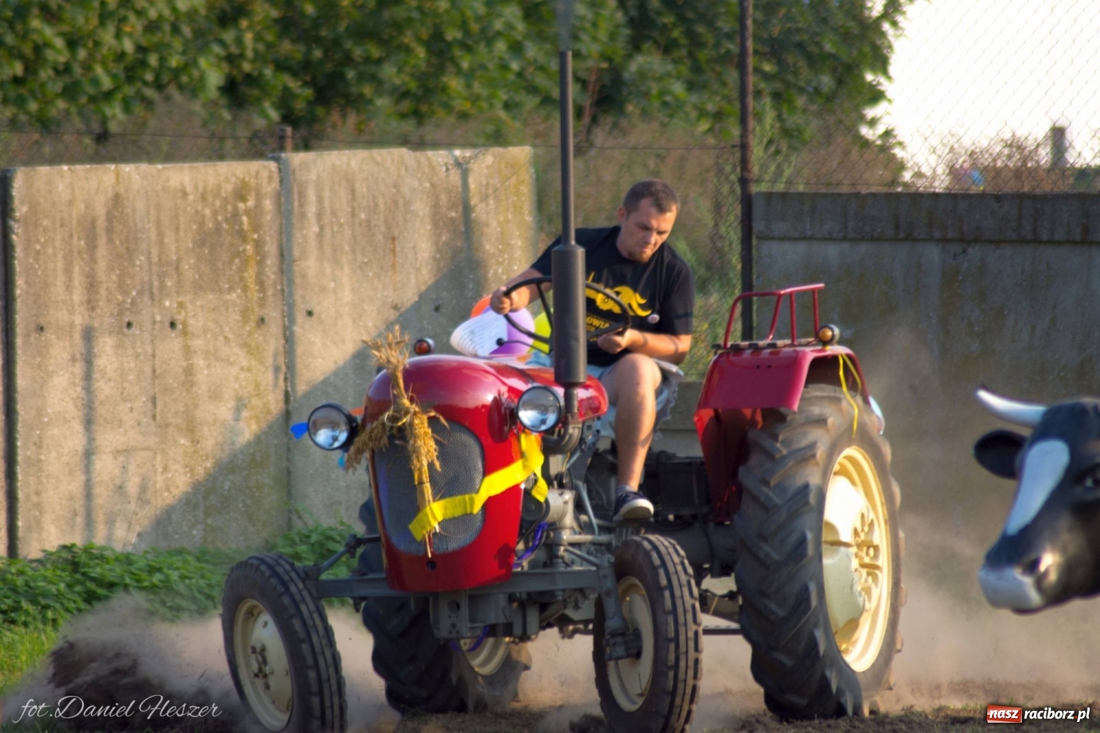 Zdjęcie w galerii na portalu naszraciborz.pl: Krowiarki 2019. Zmagania traktorów i dożynkowy korowód [FOTO z DRONA] wiadomości z regionu