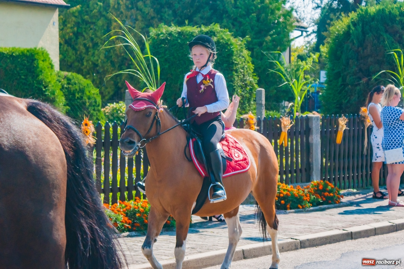Zdjęcie w galerii na portalu naszraciborz.pl: Gmina Kuźnia Raciborska dziękuje za plony w Turzu [FOTO i WIDEO] wiadomości z regionu
