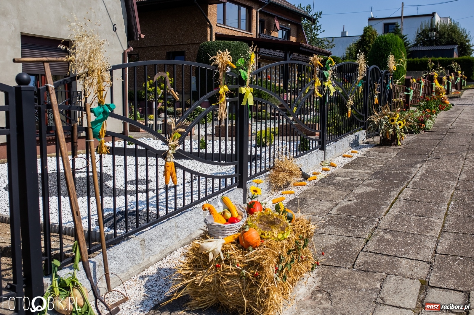 Zdjęcie w galerii na portalu naszraciborz.pl: Dożynki w Pietraszynie. Gmina Krzanowice to rolnicza potęga [FOTO i WIDEO] wiadomości z regionu