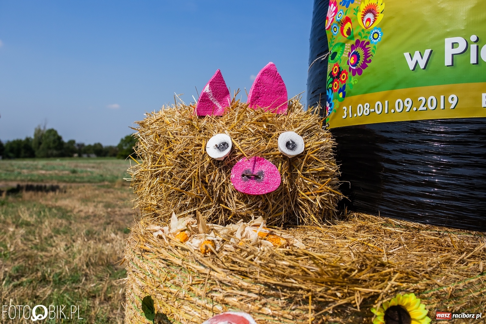 Zdjęcie w galerii na portalu naszraciborz.pl: Dożynki w Pietraszynie. Gmina Krzanowice to rolnicza potęga [FOTO i WIDEO] wiadomości z regionu