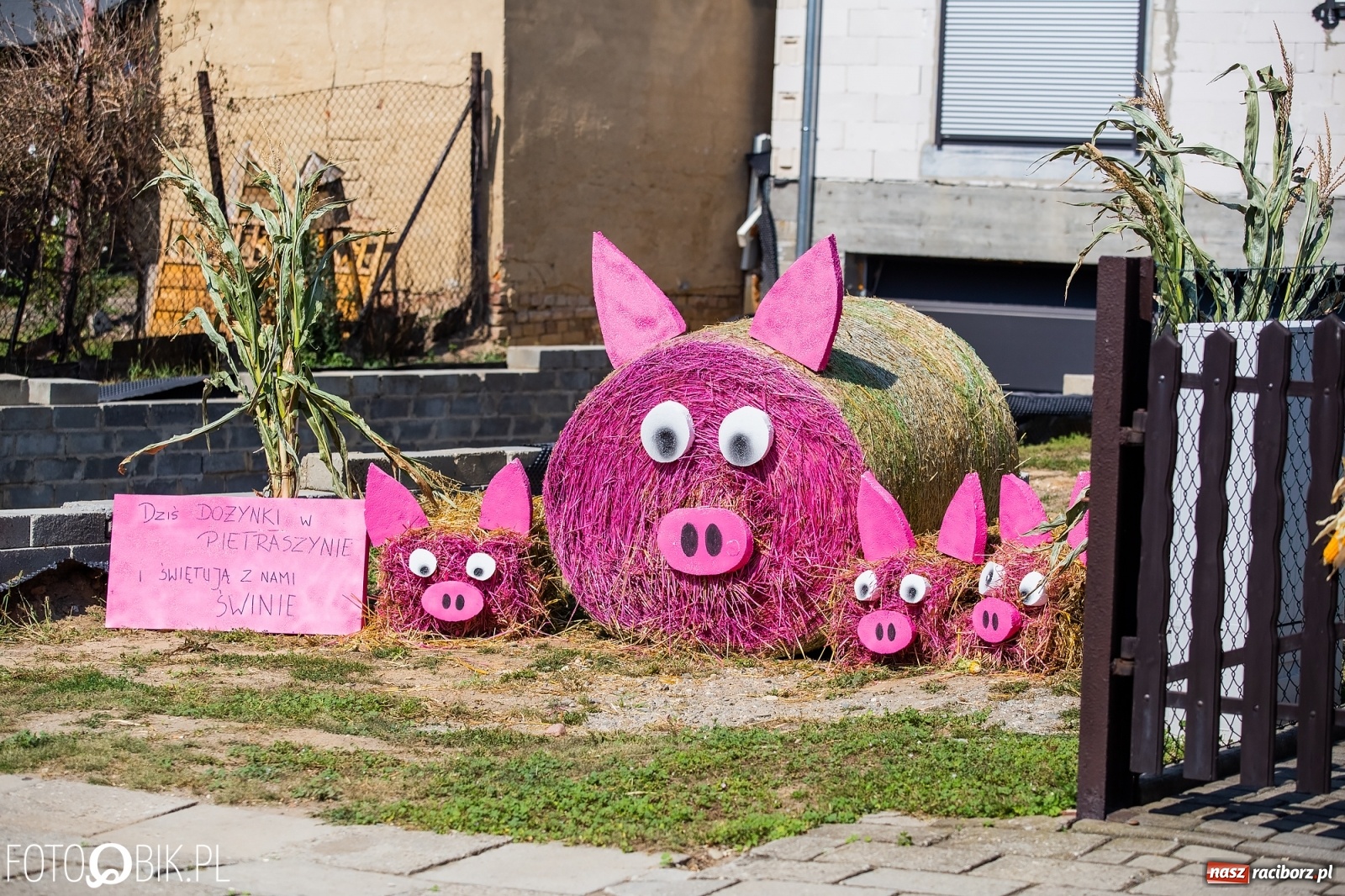 Zdjęcie w galerii na portalu naszraciborz.pl: Dożynki w Pietraszynie. Gmina Krzanowice to rolnicza potęga [FOTO i WIDEO] wiadomości z regionu