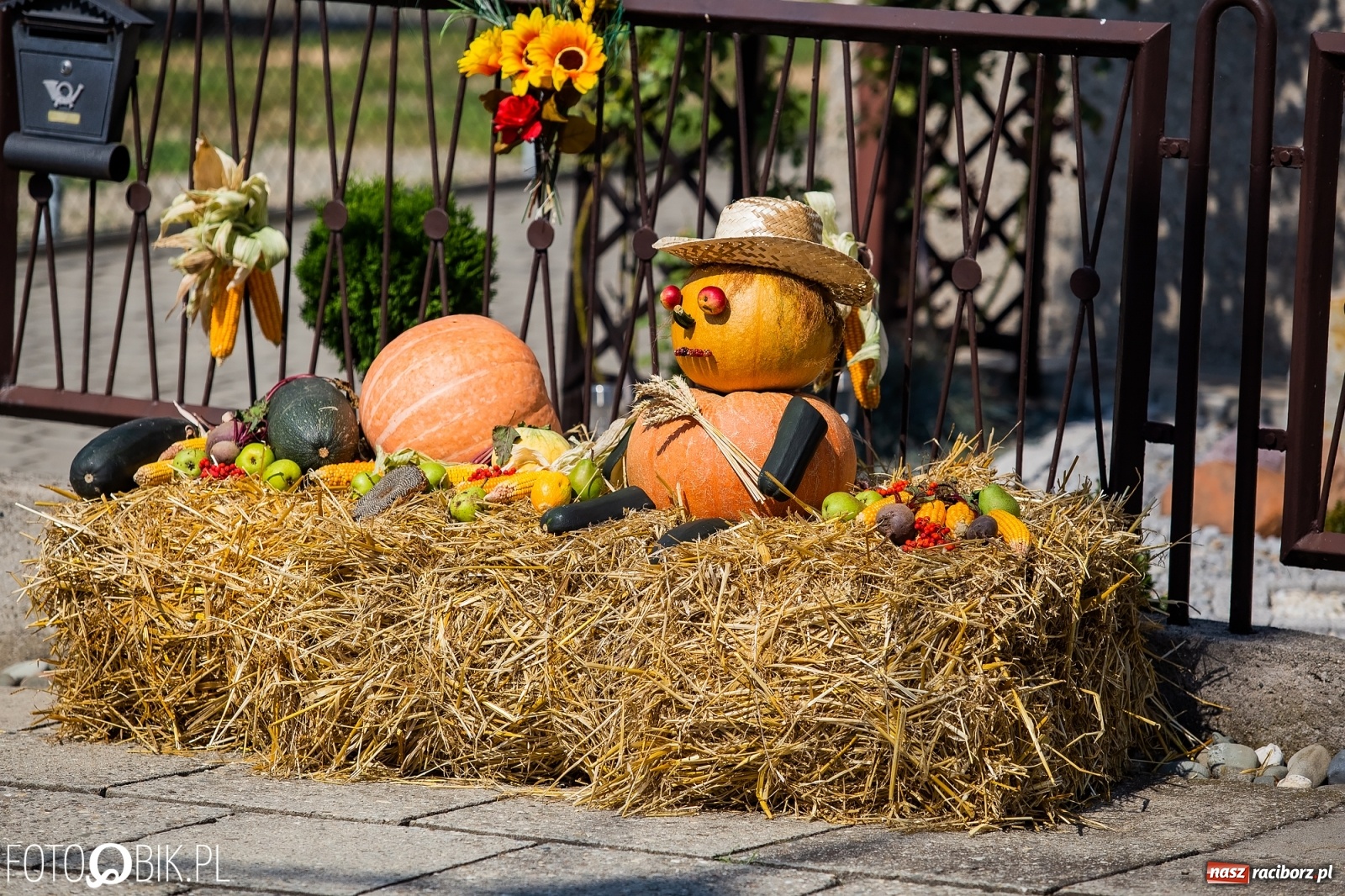 Zdjęcie w galerii na portalu naszraciborz.pl: Dożynki w Pietraszynie. Gmina Krzanowice to rolnicza potęga [FOTO i WIDEO] wiadomości z regionu