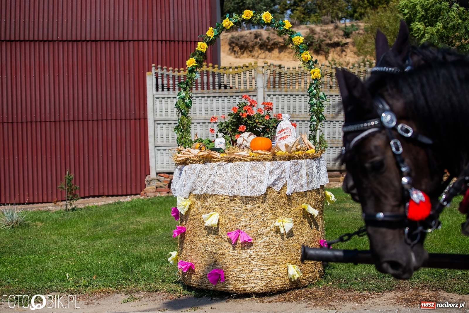 Zdjęcie w galerii na portalu naszraciborz.pl: Dożynki w Pietraszynie. Gmina Krzanowice to rolnicza potęga [FOTO i WIDEO] wiadomości z regionu