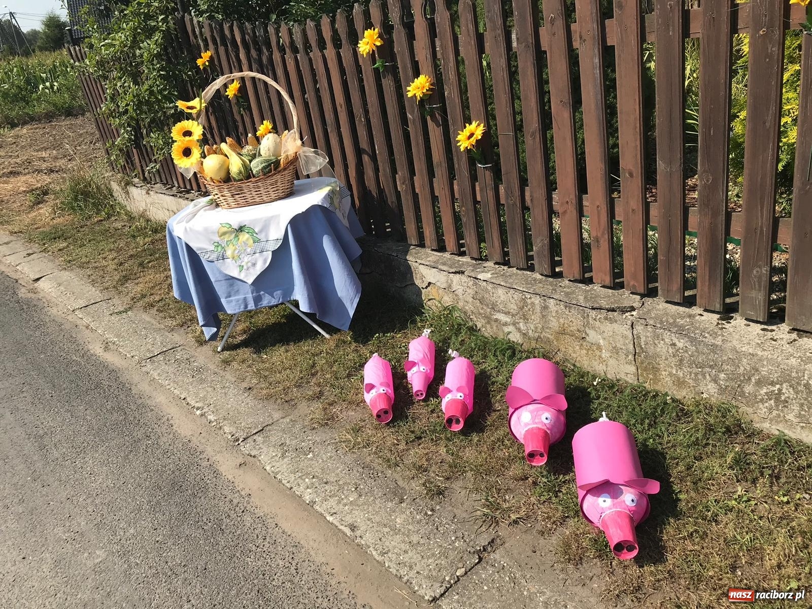 Zdjęcie w galerii na portalu naszraciborz.pl: Dożynki w Cyprzanowie [WIDEO] wiadomości z regionu