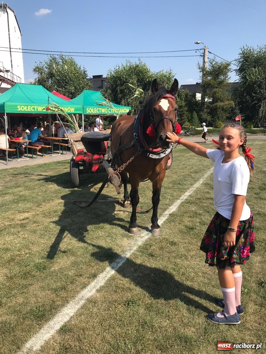 Zdjęcie w galerii na portalu naszraciborz.pl: Dożynki w Cyprzanowie [WIDEO] wiadomości z regionu