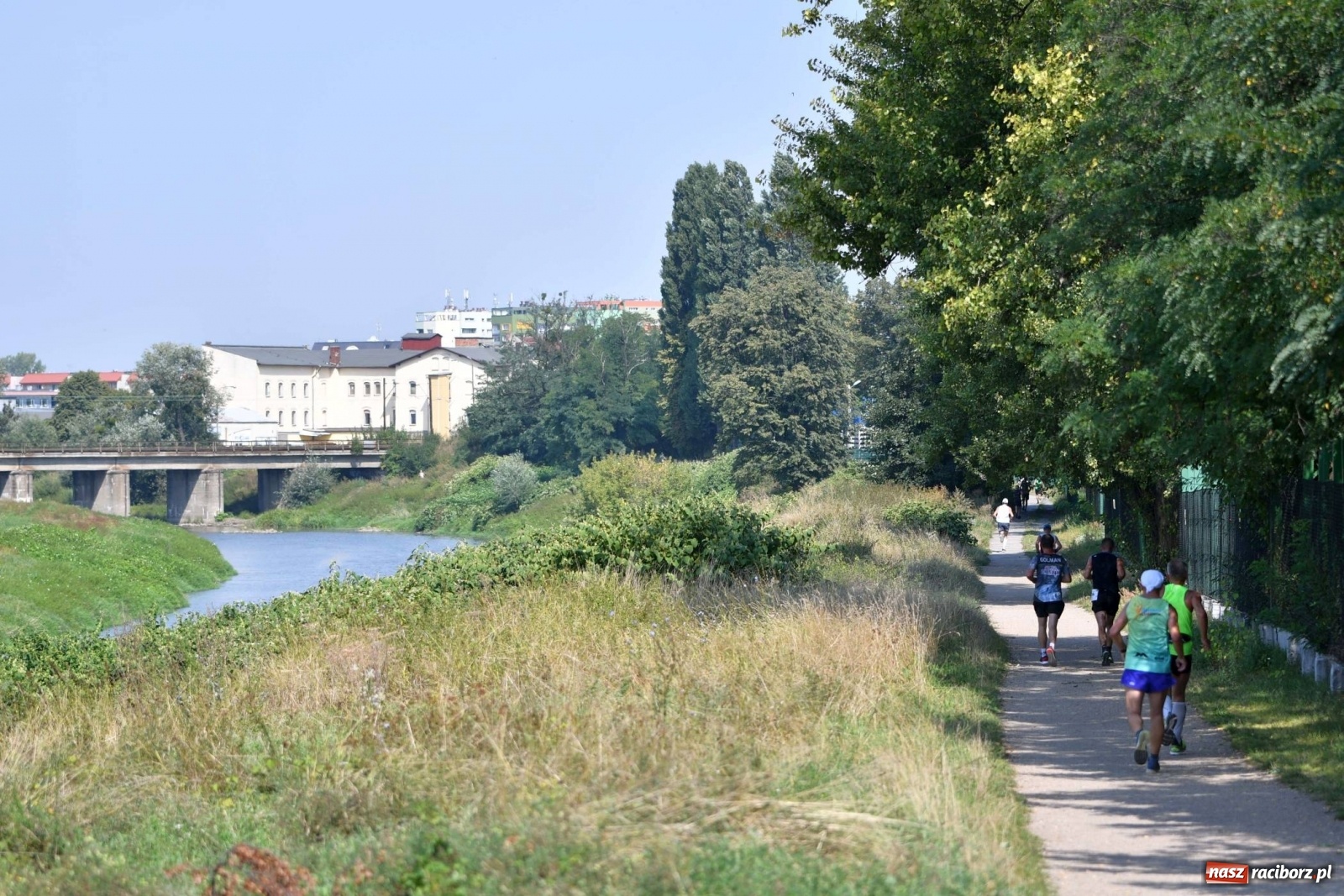 Zdjęcie w galerii na portalu naszraciborz.pl: Poznajcie śmiałków V Półmaratonu Rafako [FOTO] wiadomości z regionu