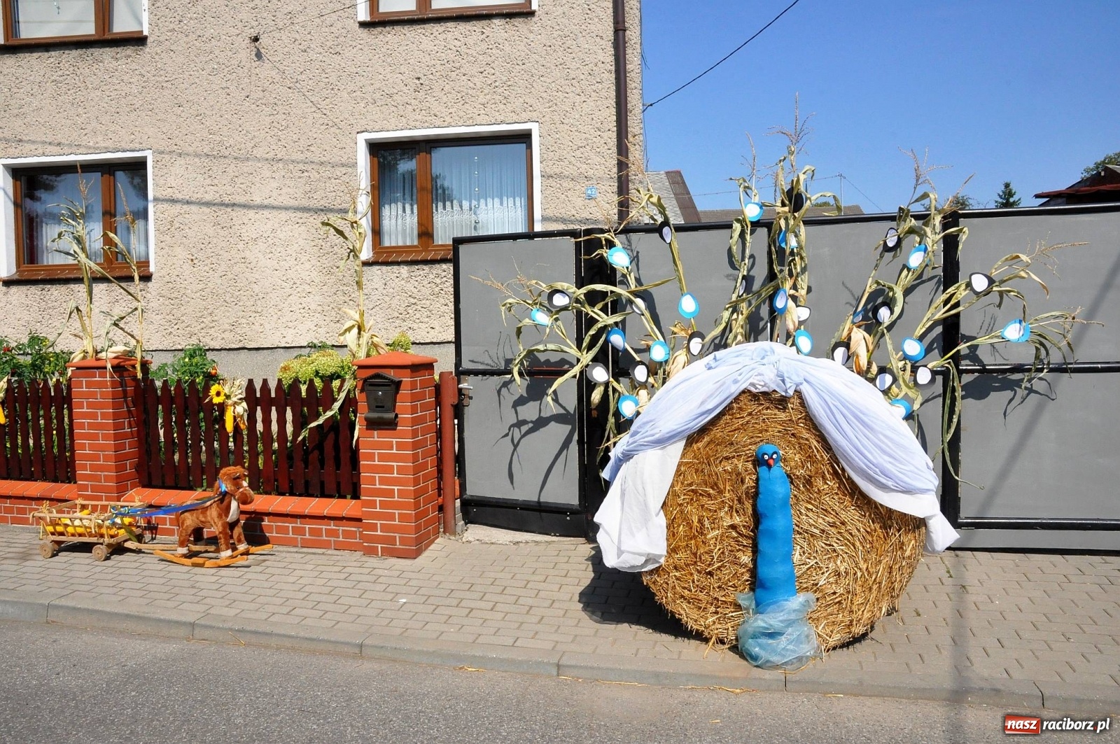 Zdjęcie w galerii na portalu naszraciborz.pl: Zike zake. Tak się bawi gmina Krzanowice!  wiadomości z regionu