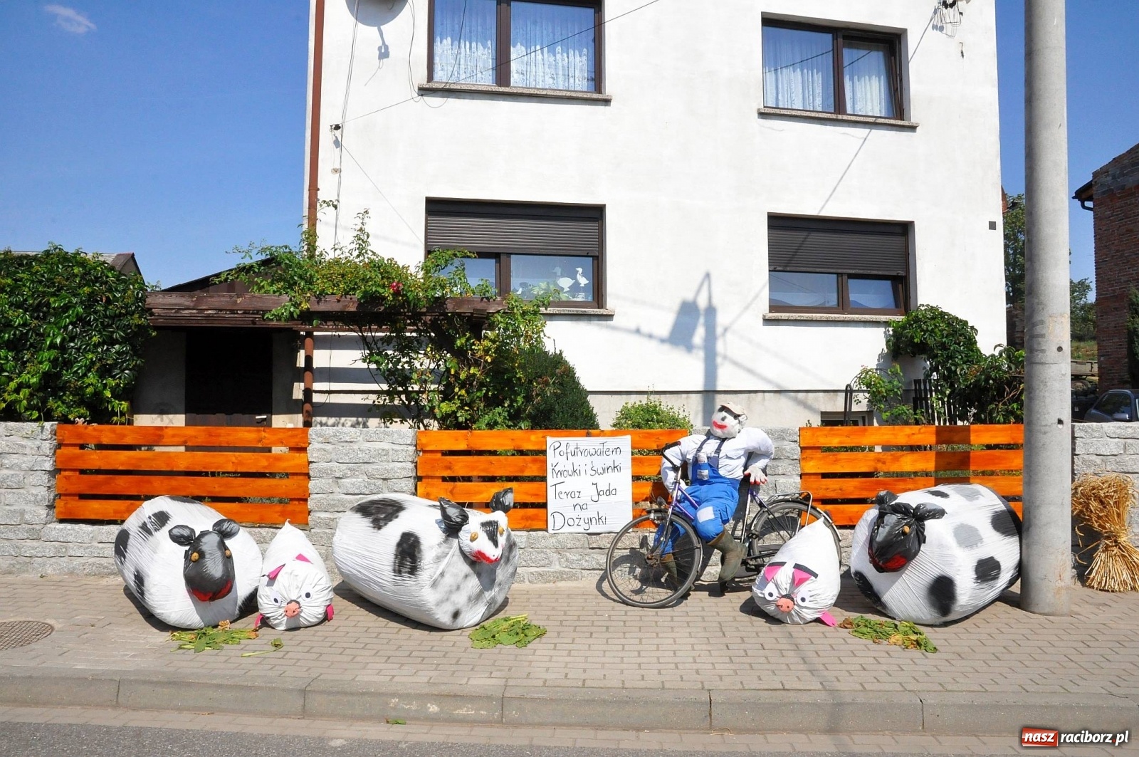 Zdjęcie w galerii na portalu naszraciborz.pl: Zike zake. Tak się bawi gmina Krzanowice!  wiadomości z regionu