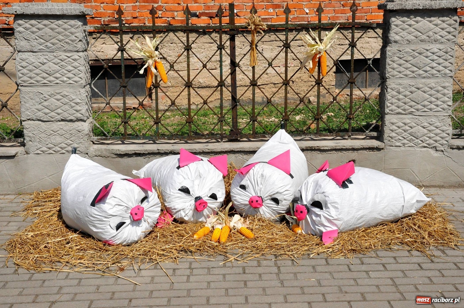 Zdjęcie w galerii na portalu naszraciborz.pl: Zike zake. Tak się bawi gmina Krzanowice!  wiadomości z regionu