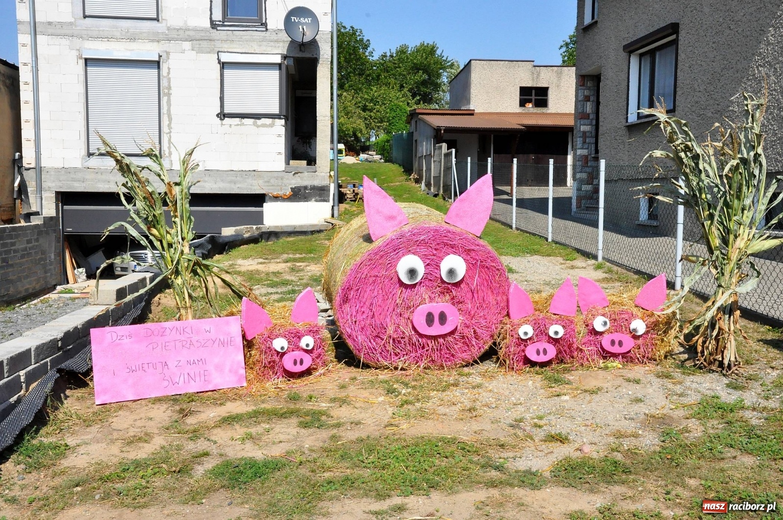 Zdjęcie w galerii na portalu naszraciborz.pl: Zike zake. Tak się bawi gmina Krzanowice!  wiadomości z regionu