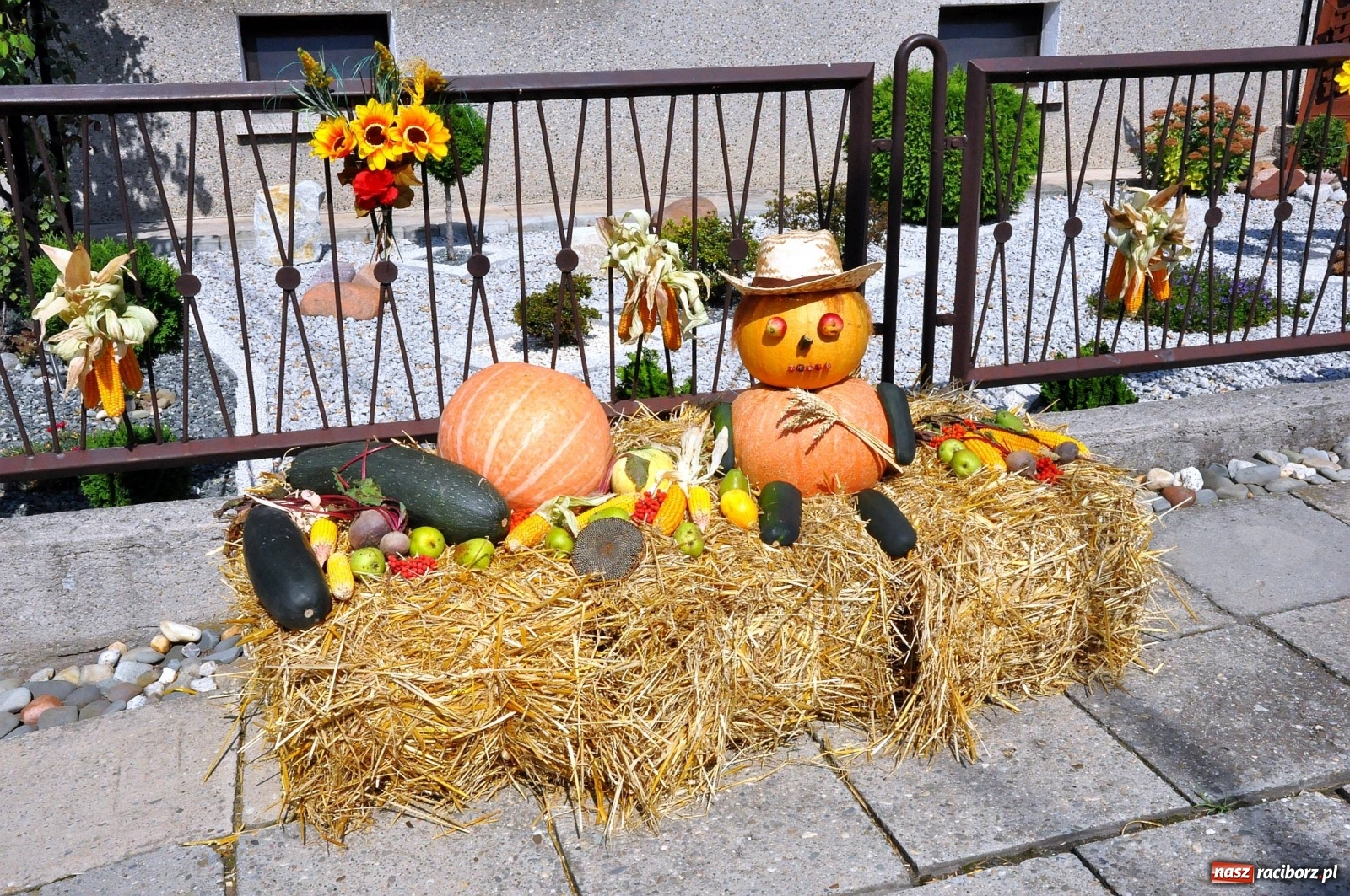 Zdjęcie w galerii na portalu naszraciborz.pl: Zike zake. Tak się bawi gmina Krzanowice!  wiadomości z regionu