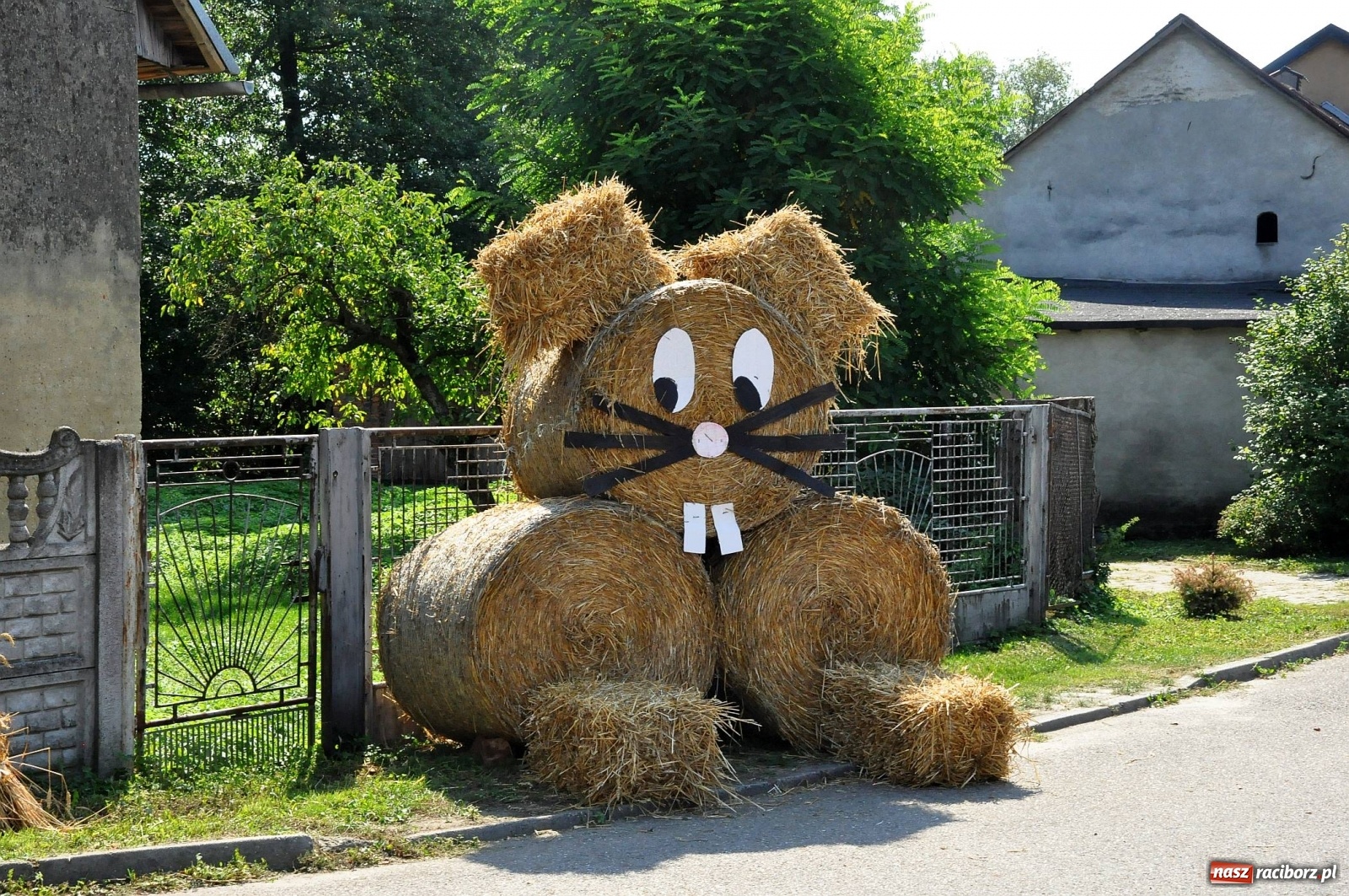 Zdjęcie w galerii na portalu naszraciborz.pl: Zike zake. Tak się bawi gmina Krzanowice!  wiadomości z regionu