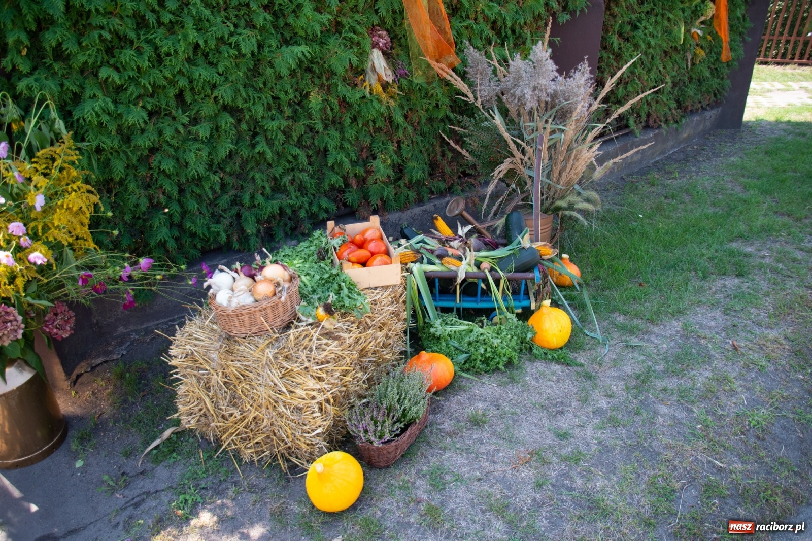 Zdjęcie w galerii na portalu naszraciborz.pl: Dożynki gminy Lyski w Raszczycach. Wesoły korowód  i znamienici goście [FOTO i WIDEO] wiadomości z regionu