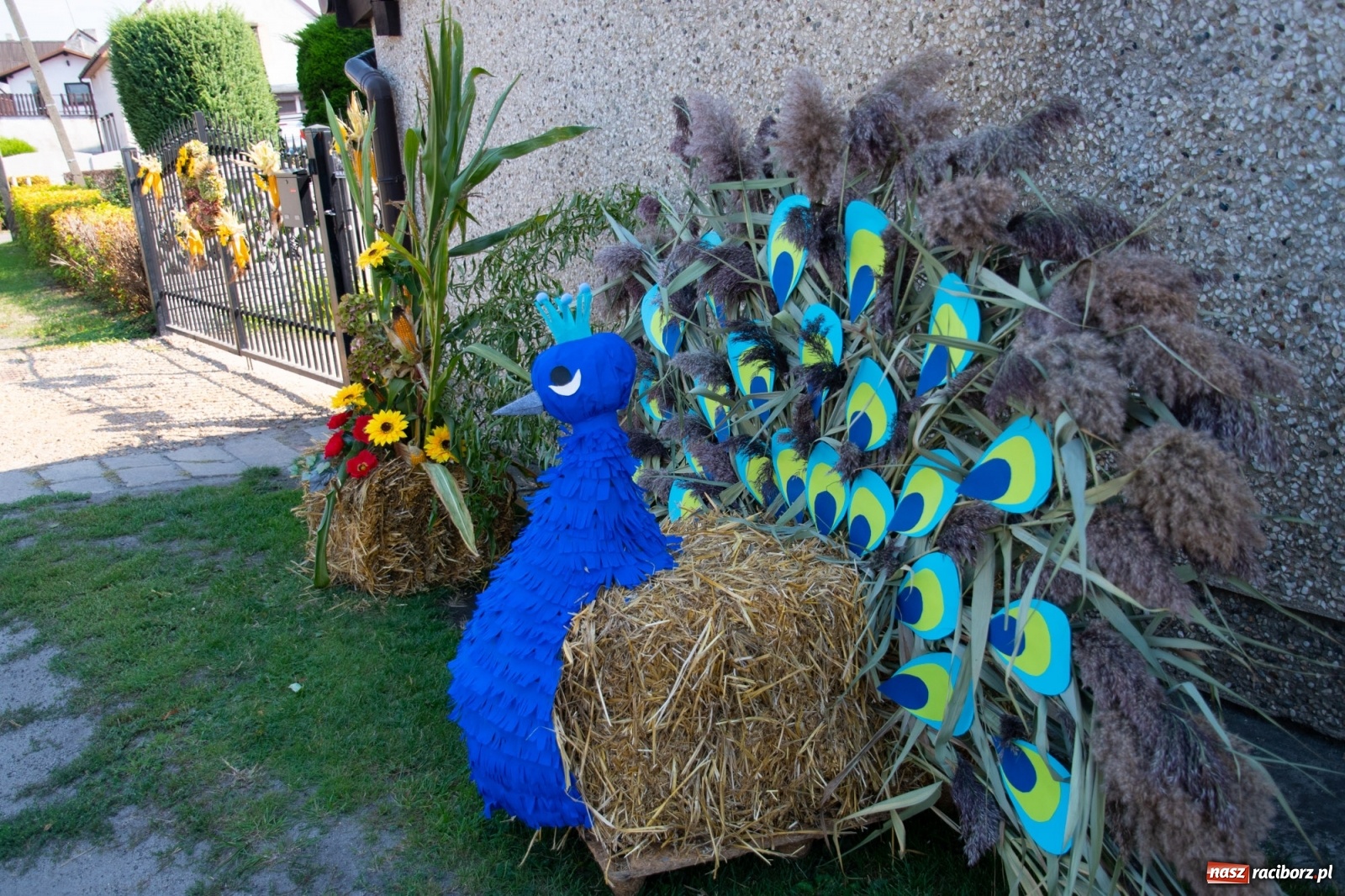 Zdjęcie w galerii na portalu naszraciborz.pl: Dożynki gminy Lyski w Raszczycach. Wesoły korowód  i znamienici goście [FOTO i WIDEO] wiadomości z regionu