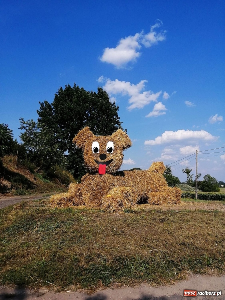 Zdjęcie w galerii na portalu naszraciborz.pl: Dożynki w Sławikowie [FOTO]  wiadomości z regionu