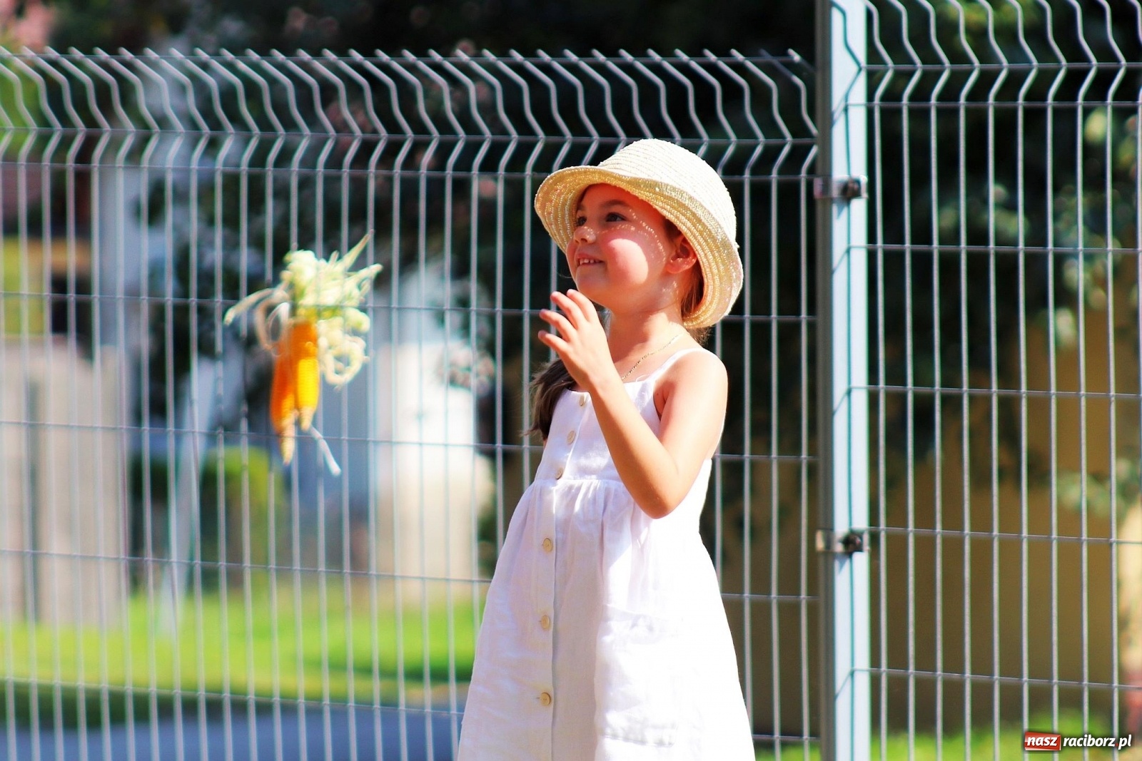 Zdjęcie w galerii na portalu naszraciborz.pl: Dożynki w Sławikowie [FOTO]  wiadomości z regionu