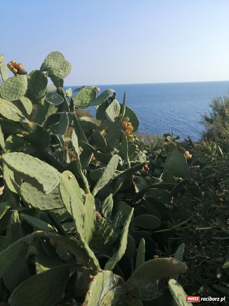 Zdjęcie w galerii na portalu naszraciborz.pl: Lepsza szkoła – lepsza przyszłość. Kadra I LO na Malcie wiadomości z regionu