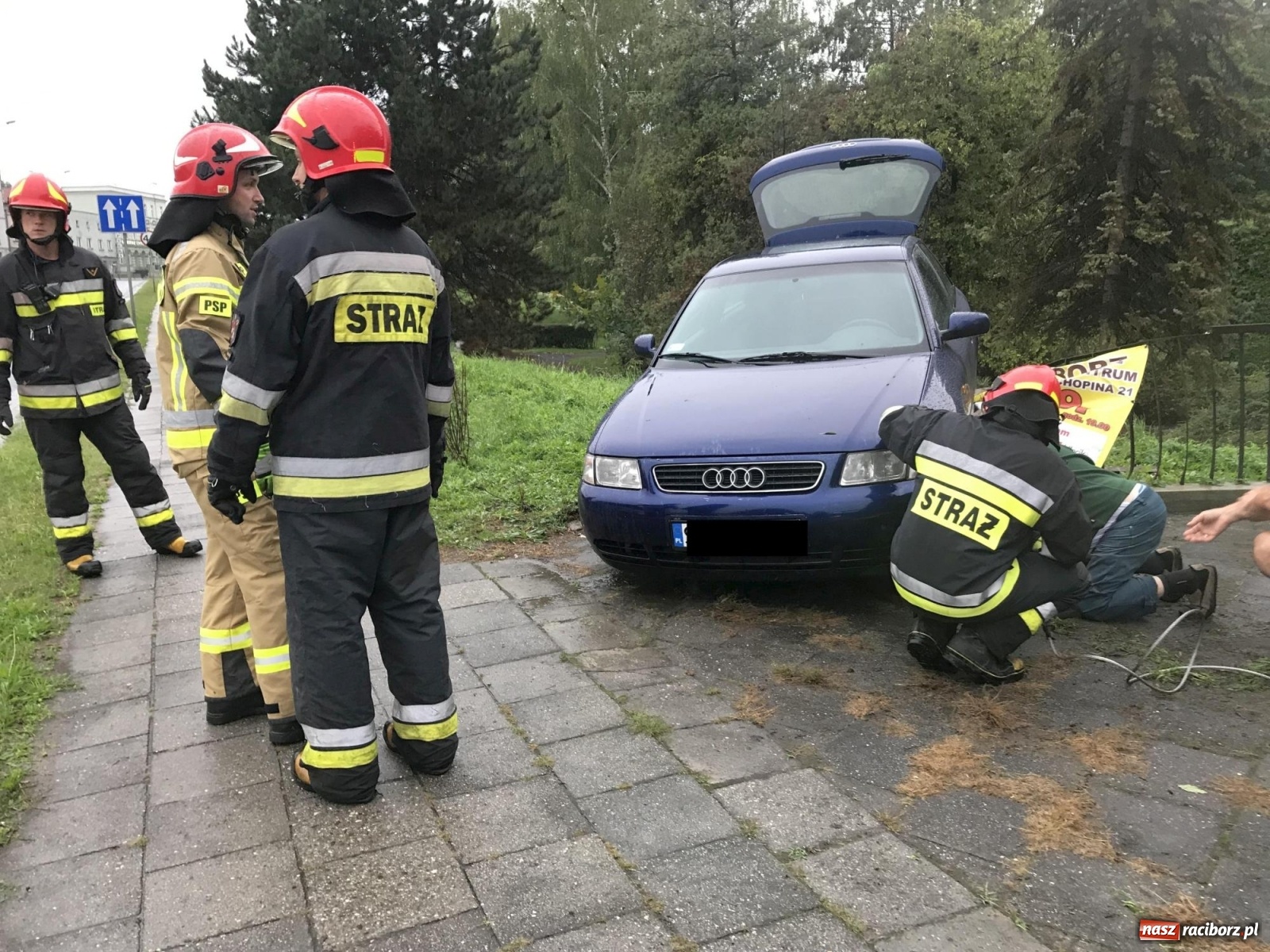Zdjęcie w galerii na portalu naszraciborz.pl: Kierowca audi wyleciał z Odrostrady [FOTO] wiadomości z regionu