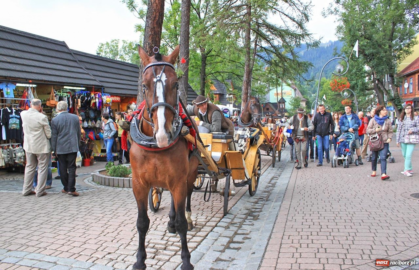 Zdjęcie w galerii na portalu naszraciborz.pl: Poznaj z nami Skarby Podhala! wiadomości z regionu